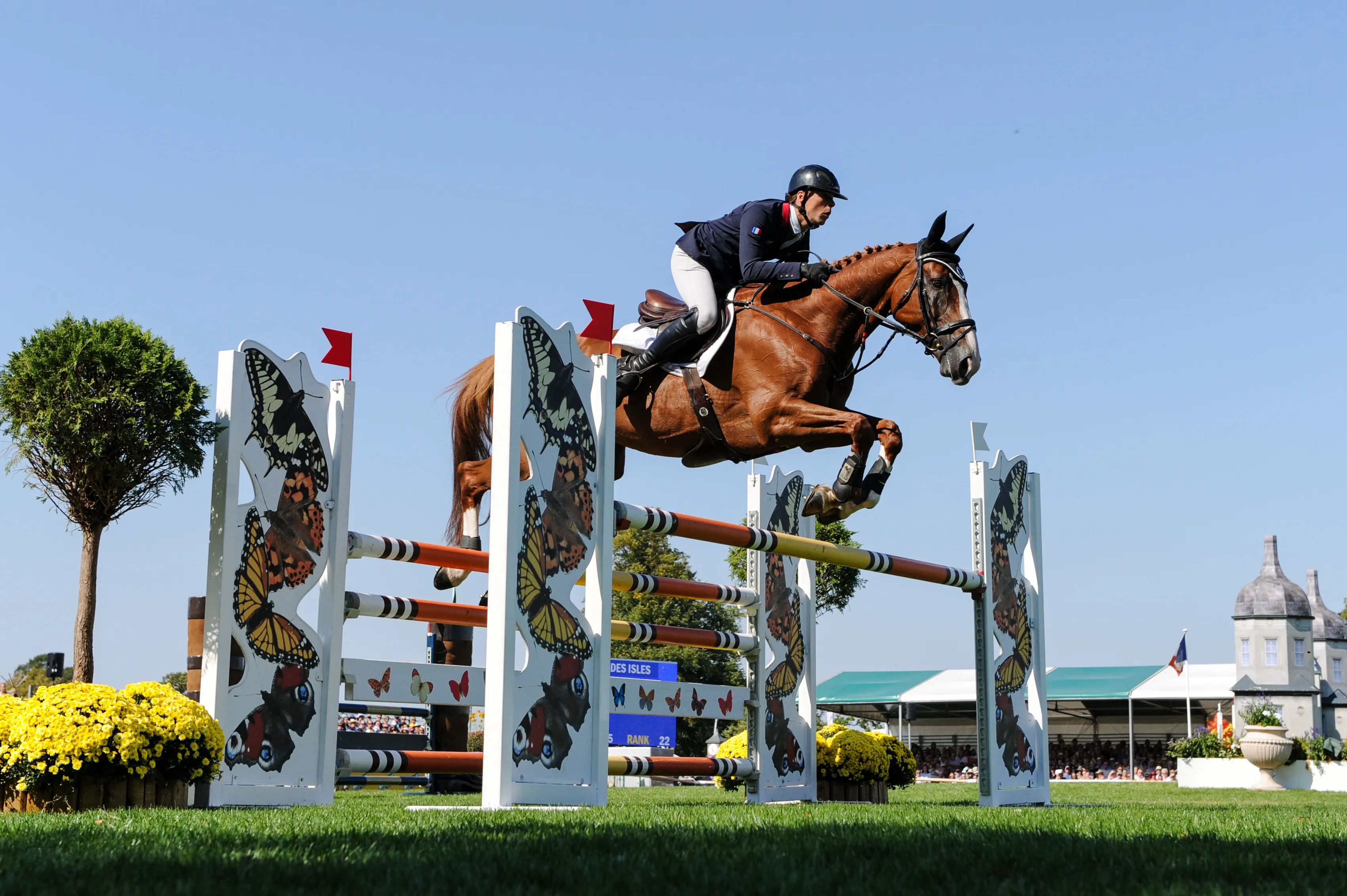 Sur le jumping, Tahina a été exemplaire du début à la fin à Burghley.