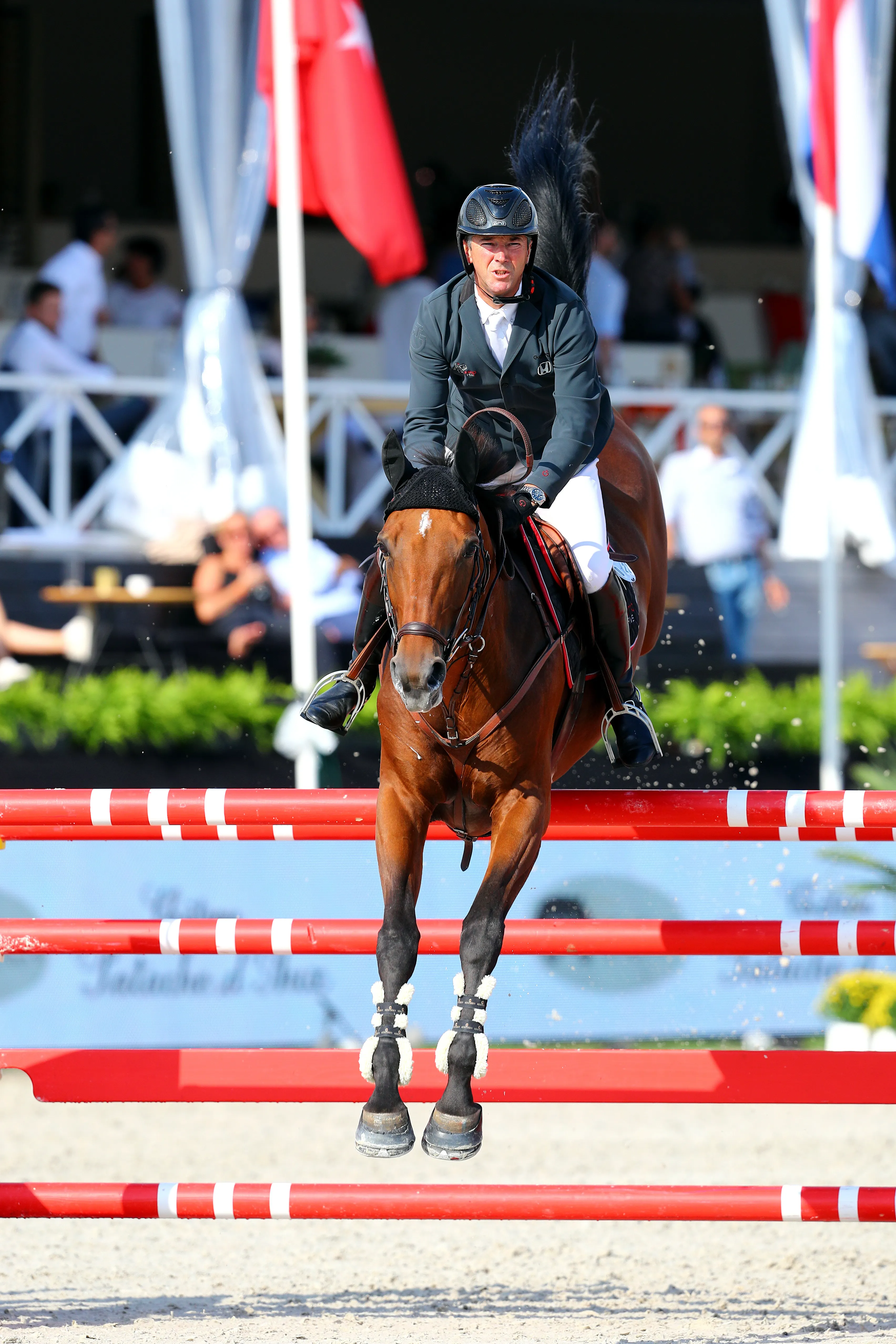 Vestale de Mazure*HDC est l'une des prochaines recrues de taille de Patrice Delaveau.