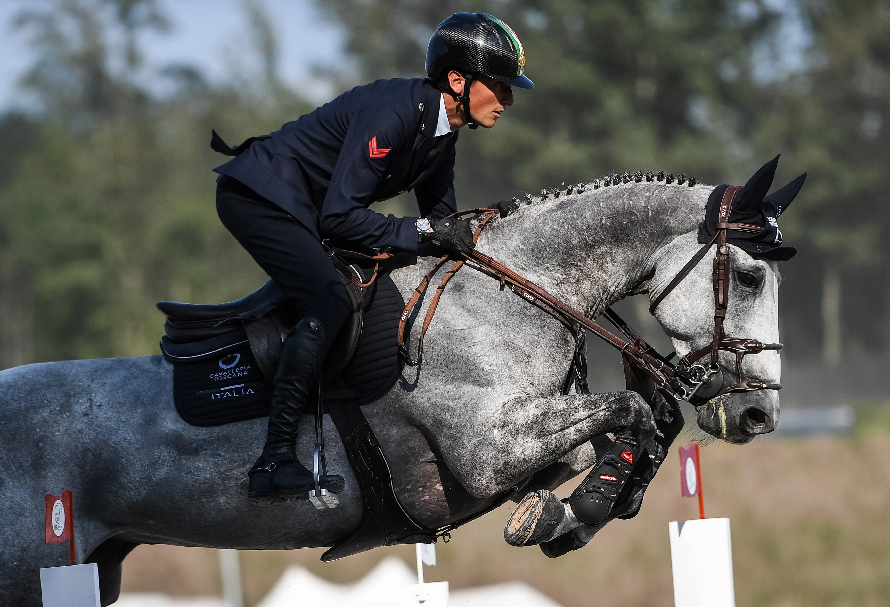 Associés depuis quelques semaines seulement, Lorenzo de Luca et sa grise sont en tête du championnat individuel.