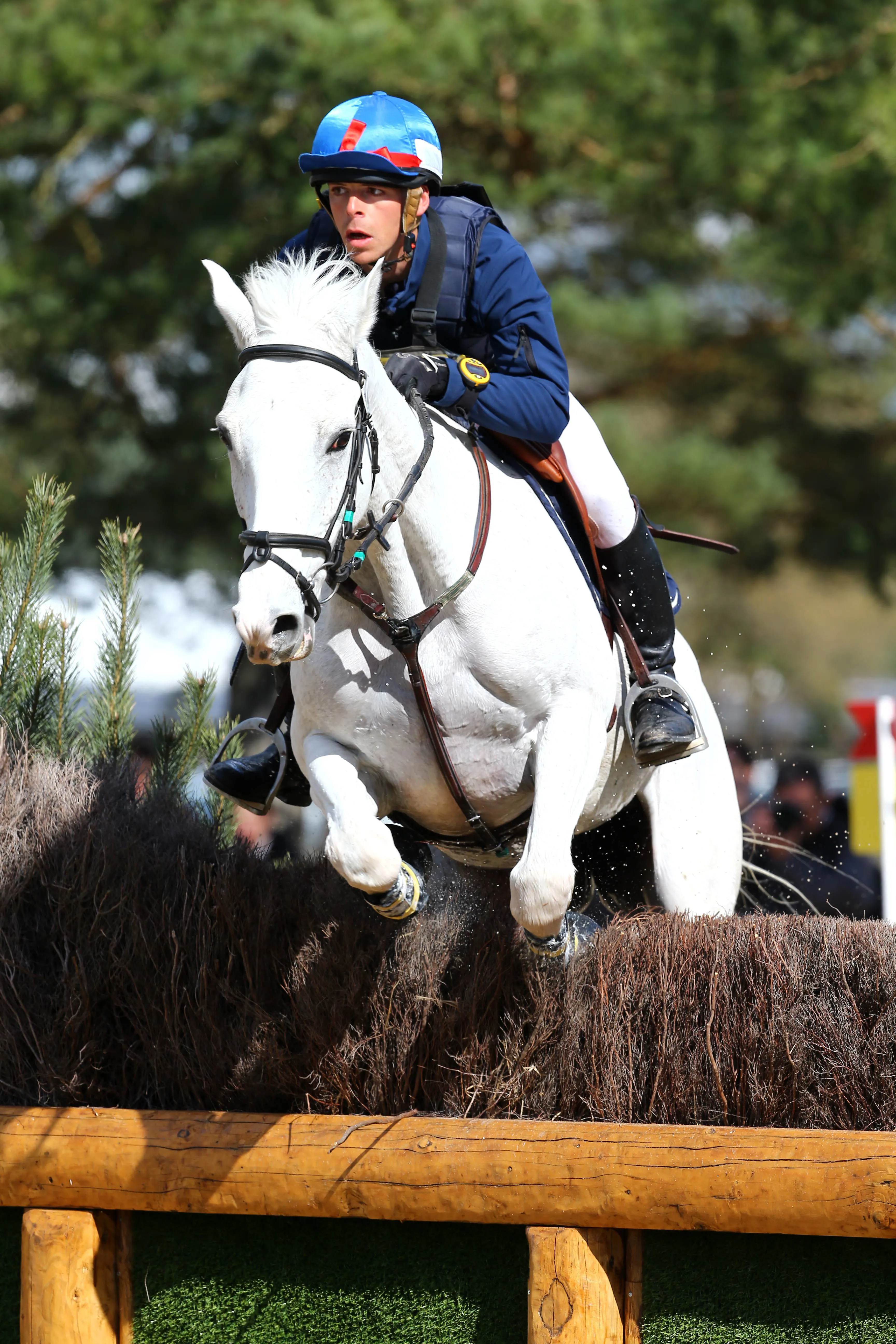 R'Du Temps Blinière devrait faire son retour à la compétition l'an prochain.