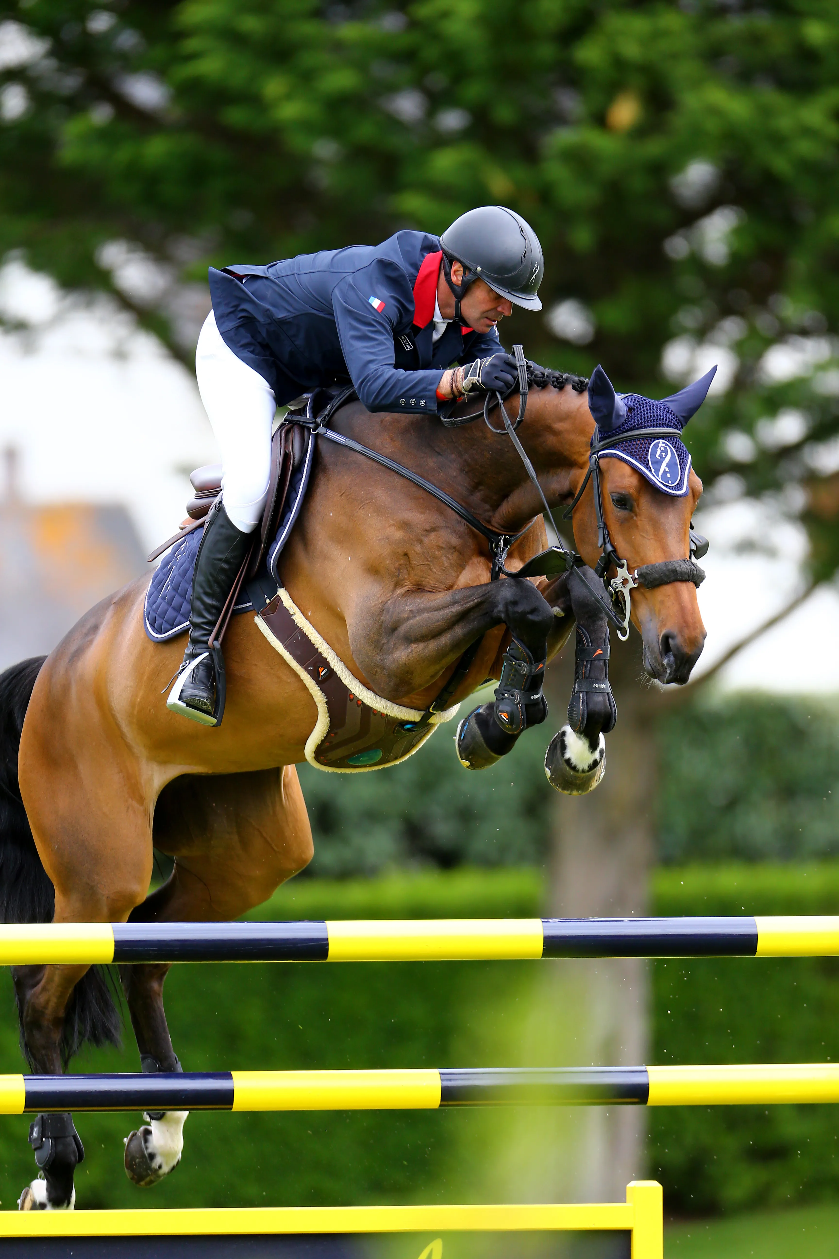 À huit ans, Virtuose d'Éole sera elle aussi à Paris pour épauler Saxo de la Cour.