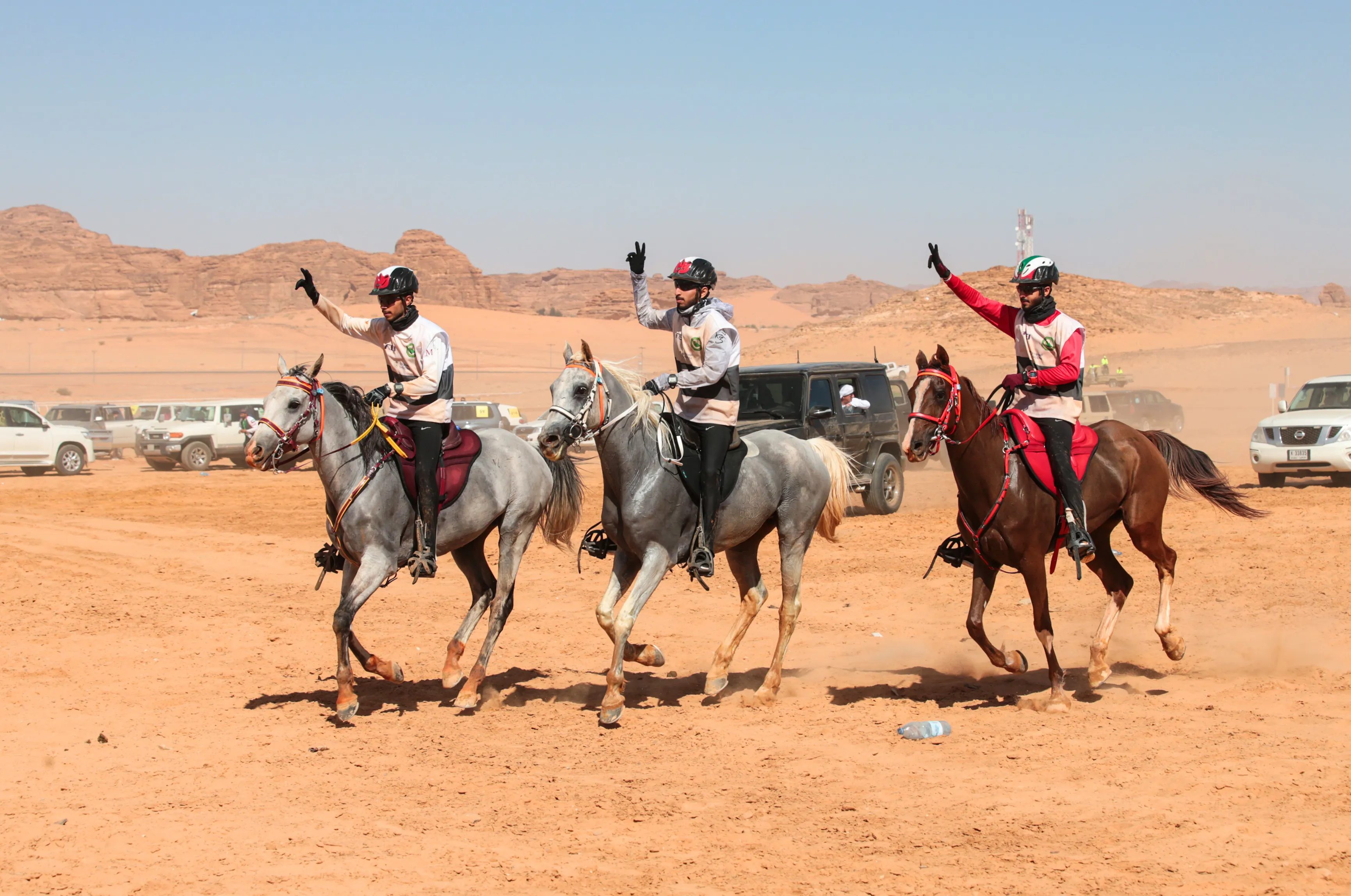 Arrivés au botte-à-botte, les chevaux vainqueurs Blakeridge Indigo (M7 endurance stables), Wamid (F3 stables) et Razorback Mechano (MRM stables) sont issus des écuries des sheicks de Dubai. Ils bouclent le parcours de 120 km - pourtant technique - à 27,1