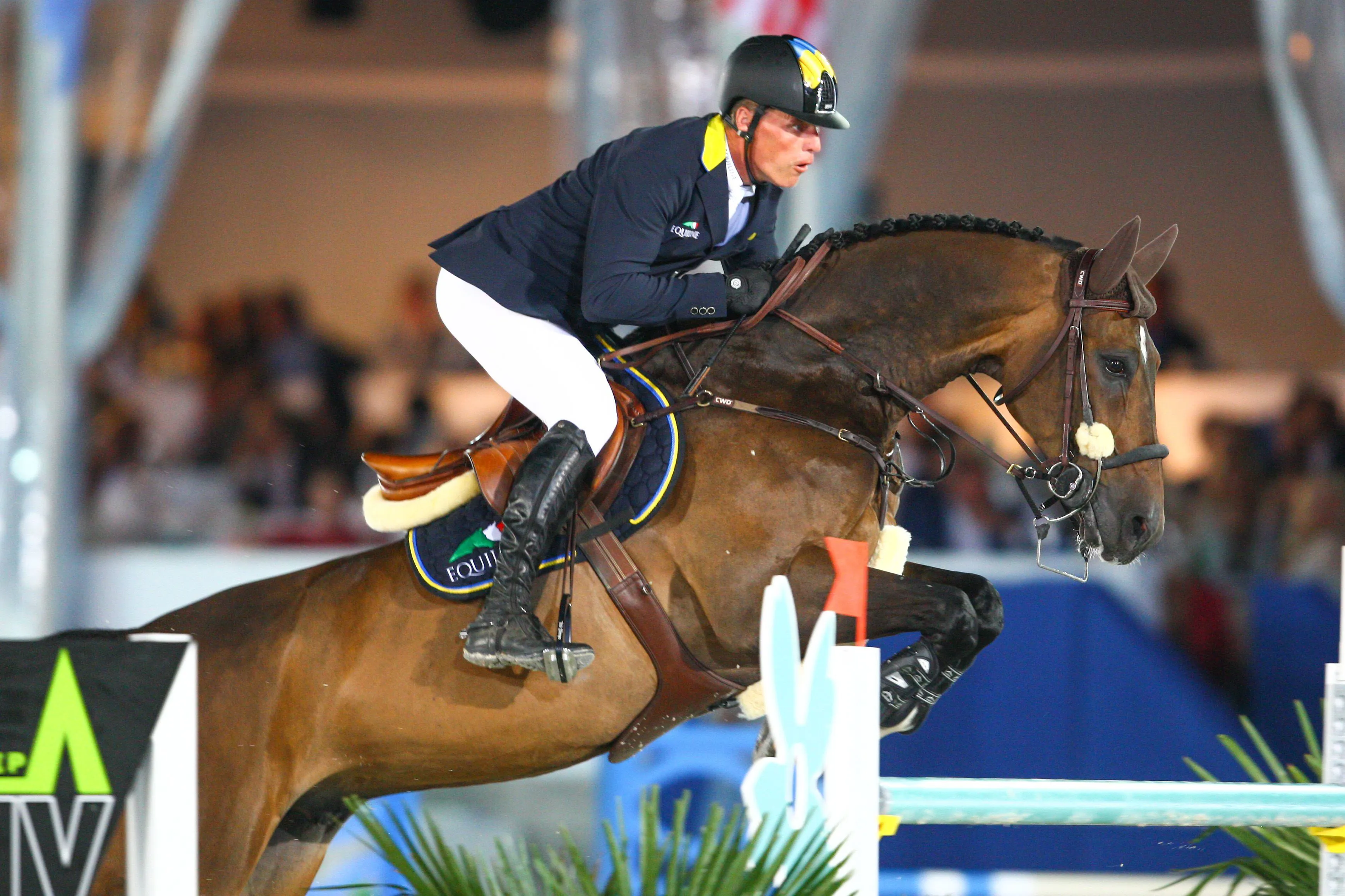 Avant de retrouver Grégory Wathelet, Forlap DC a connu de nombreuses selles, dont celle de René Tebbel entre 2015 et 2016.