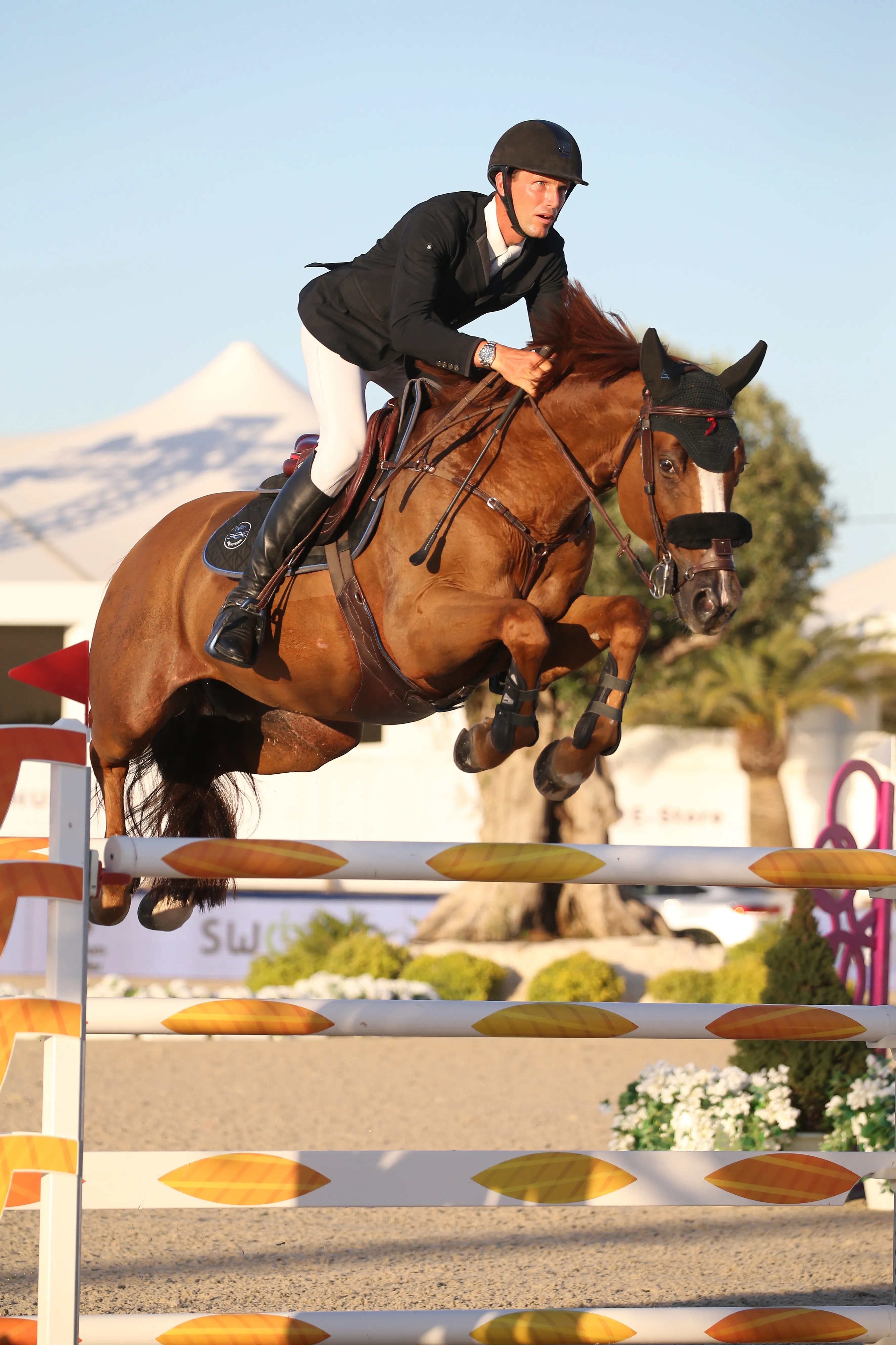Viking concourt ici à Grimaud avec Kevin Staut. 