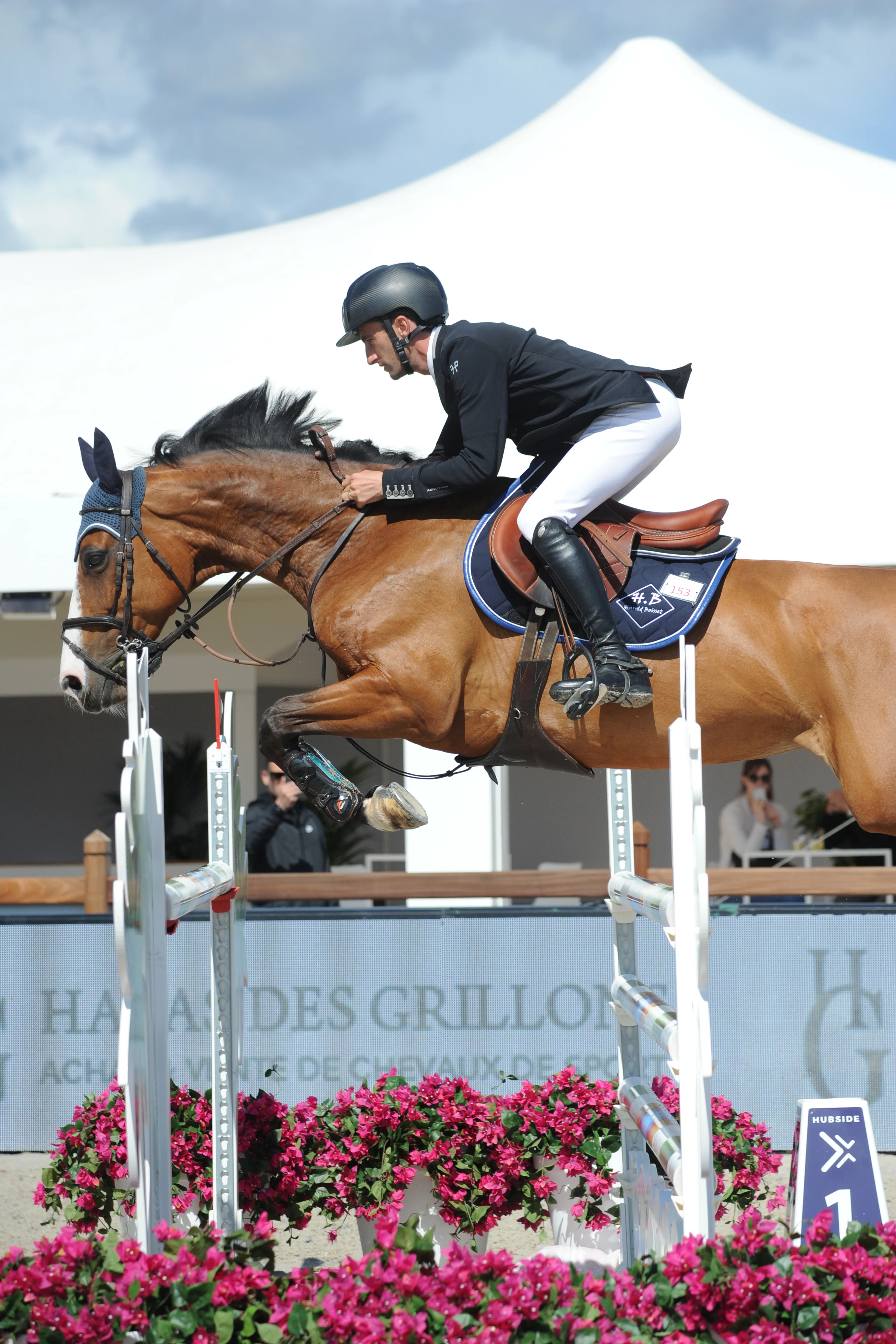Si la suite de la carrière de Quolita Z est incertaine, cette minuscule et volontaire baie aura permis de révéler son cavalier au plus haut niveau. 
