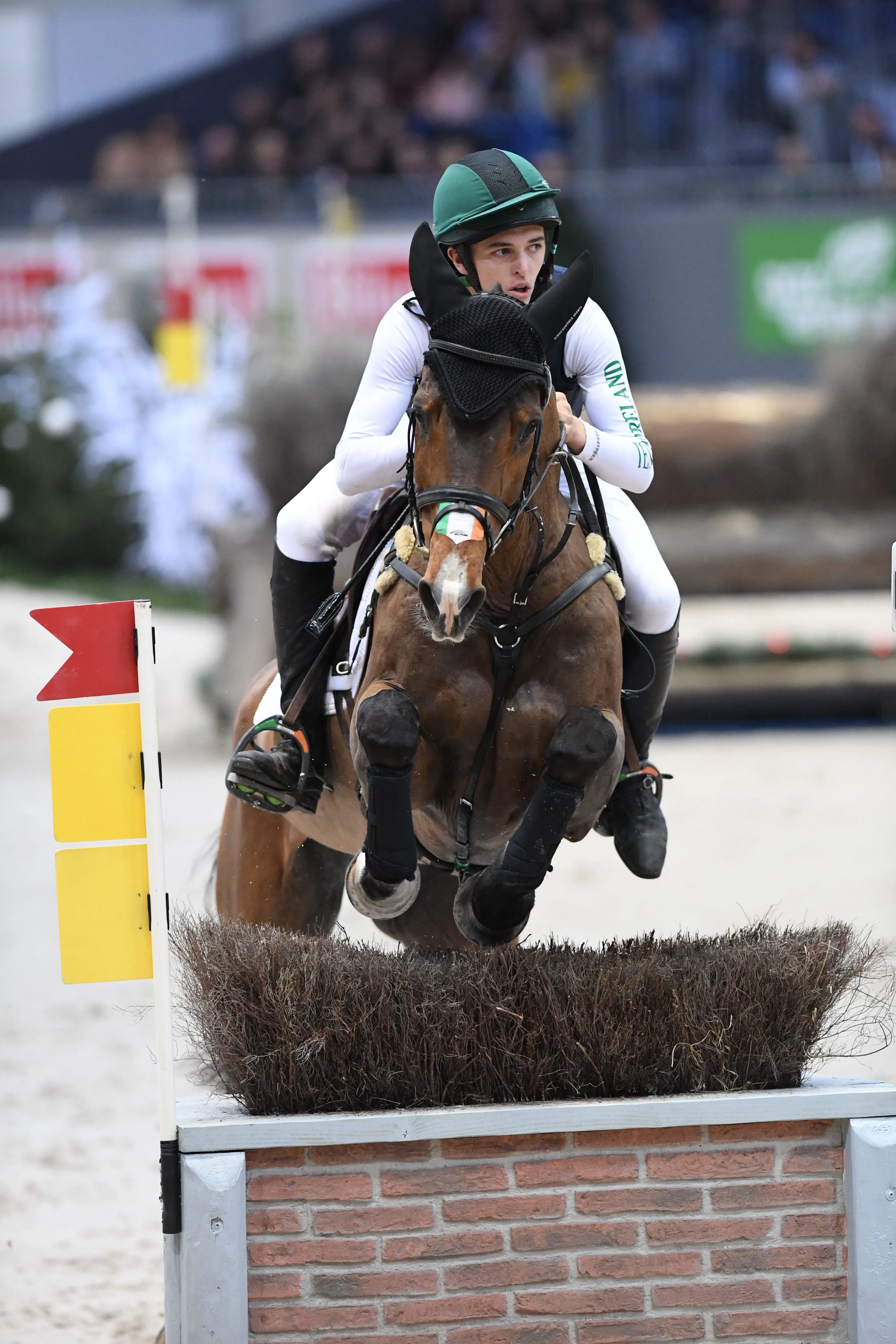 Cathal Daniels et Alcatraz sur la route de la victoire.