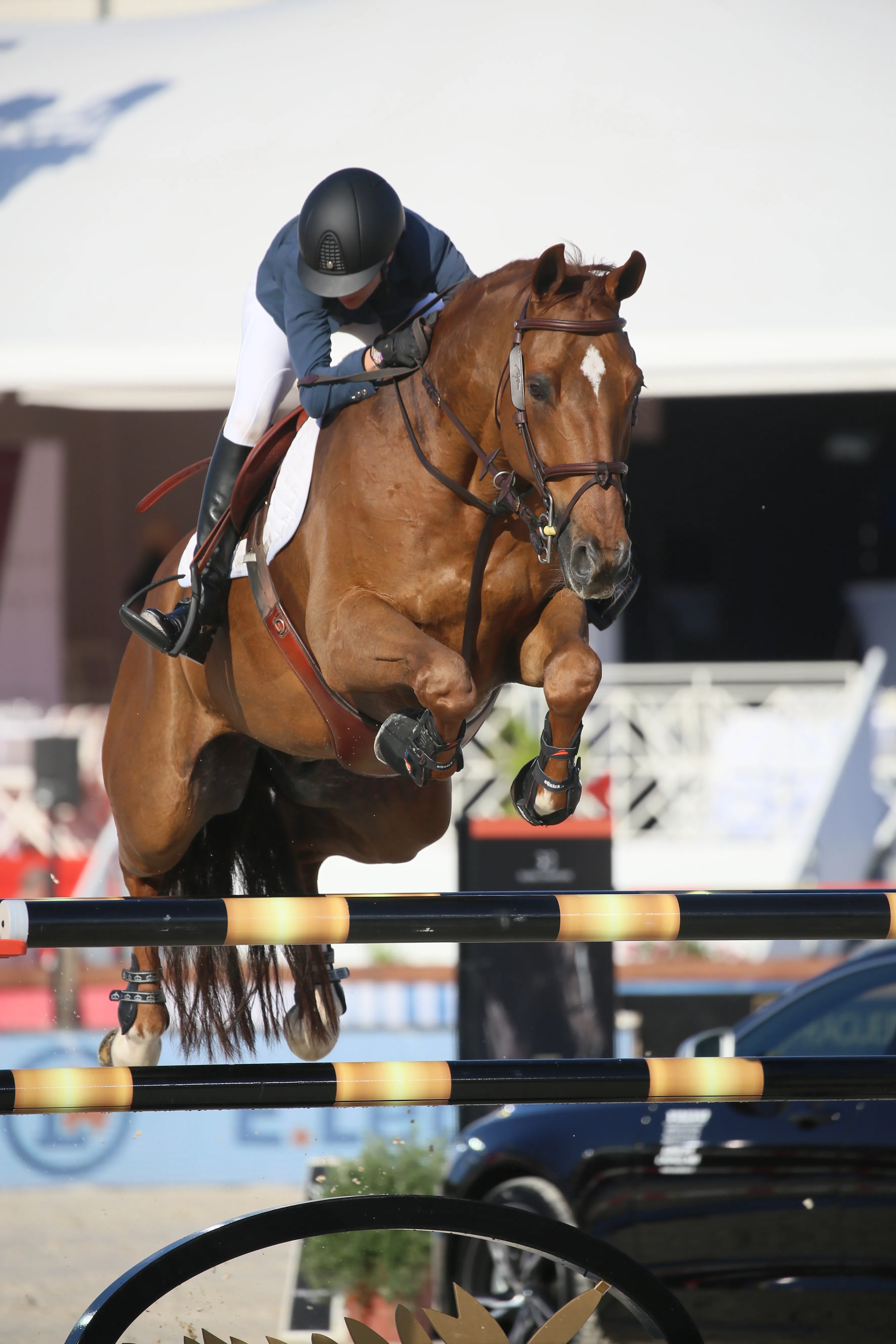 Après avoir mené sa cavalière vers le titre de championne de France en 2015, Polias de Blondel pourra-t-il réitérer cette année ?