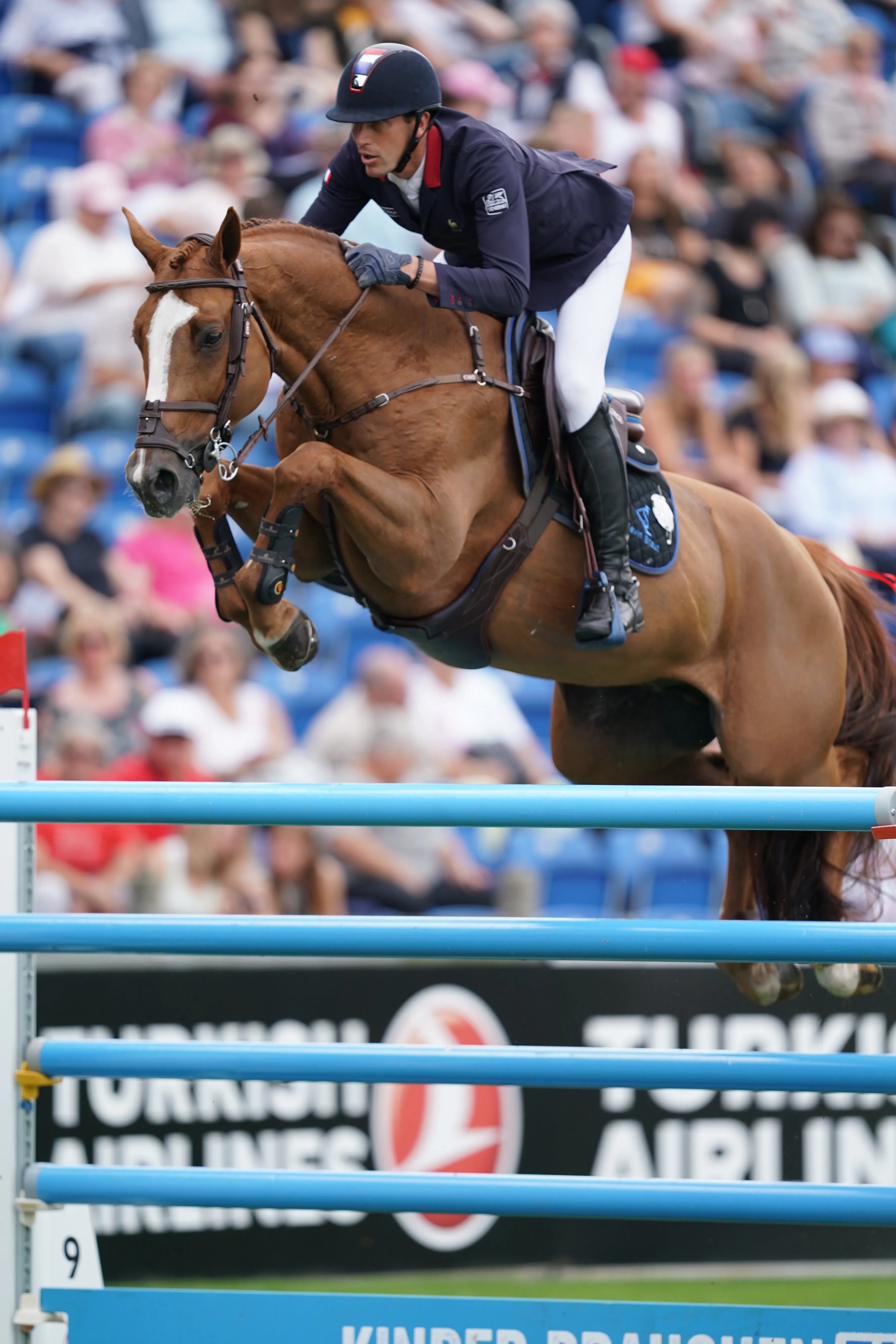 Pour les Jeux olympiques de Tokyo, Kevin Staut compte d'abord sur le propre frère de Ratina d'la Rousserie, Viking d'la Rousserie.
