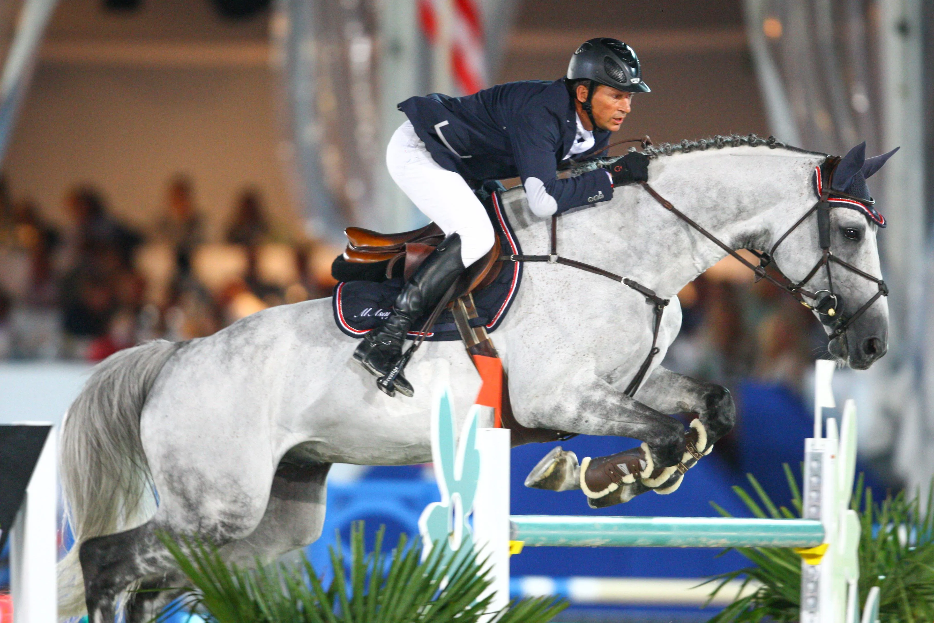 En fin d'année, Baloussini a succombé à endotoxémie à seulement quinze ans. 