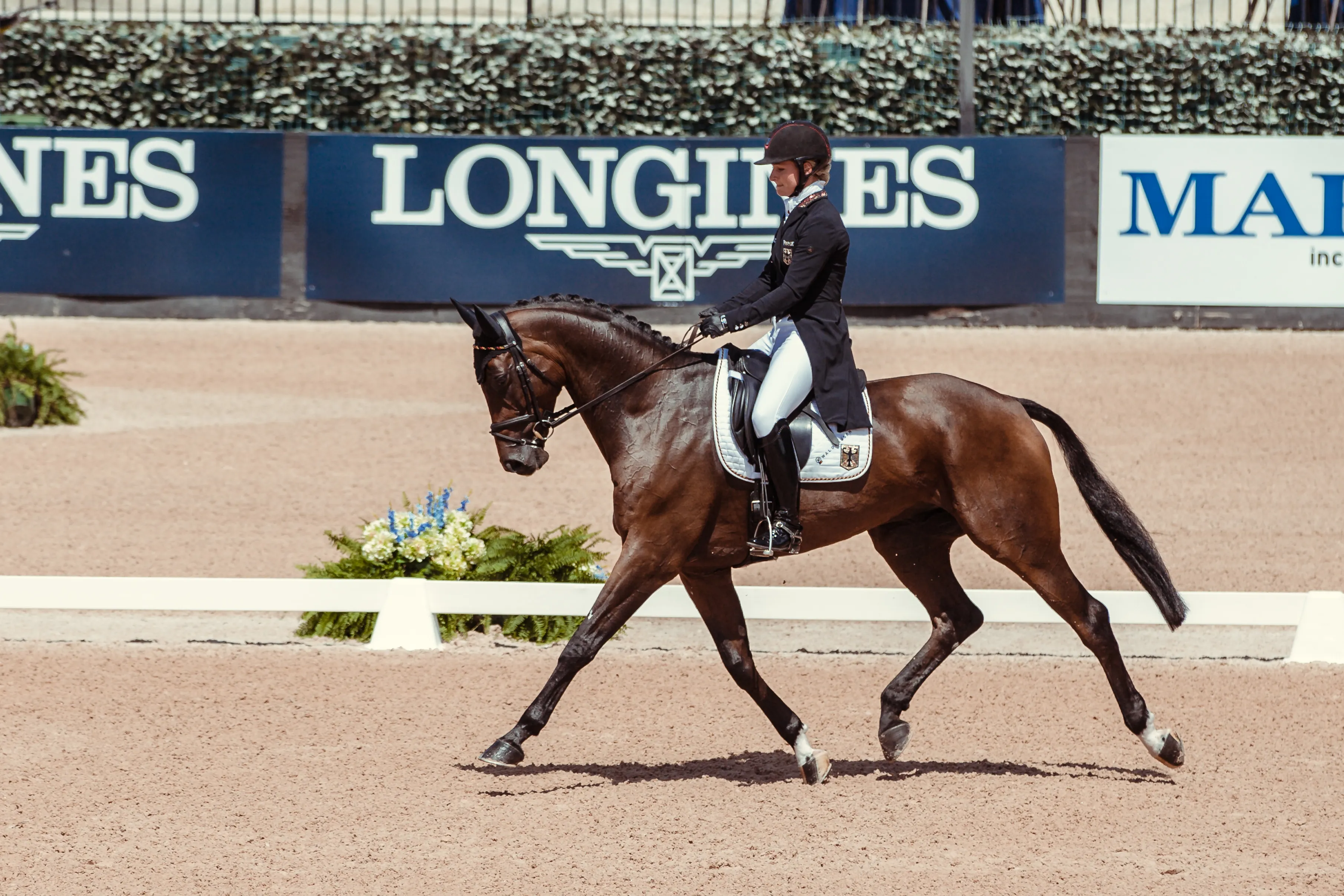 Julia Krajewski et Chipmunk FRH ont été les meilleurs de ces deux jours de compétition à Tryon.