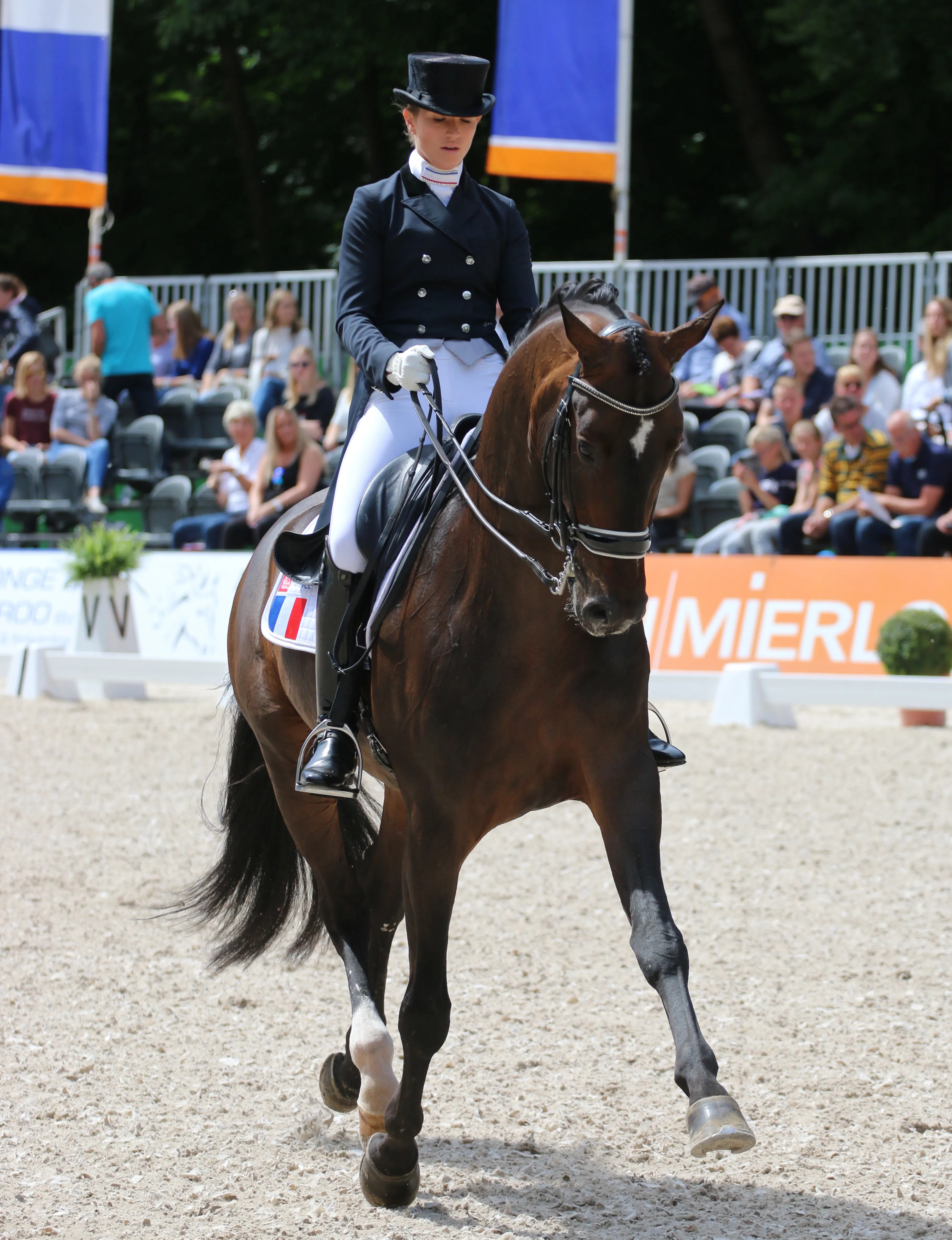 Morgan Barbançon-Mestre et Sir Donnerhall II Old ont bien rectifié aujourd'hui.