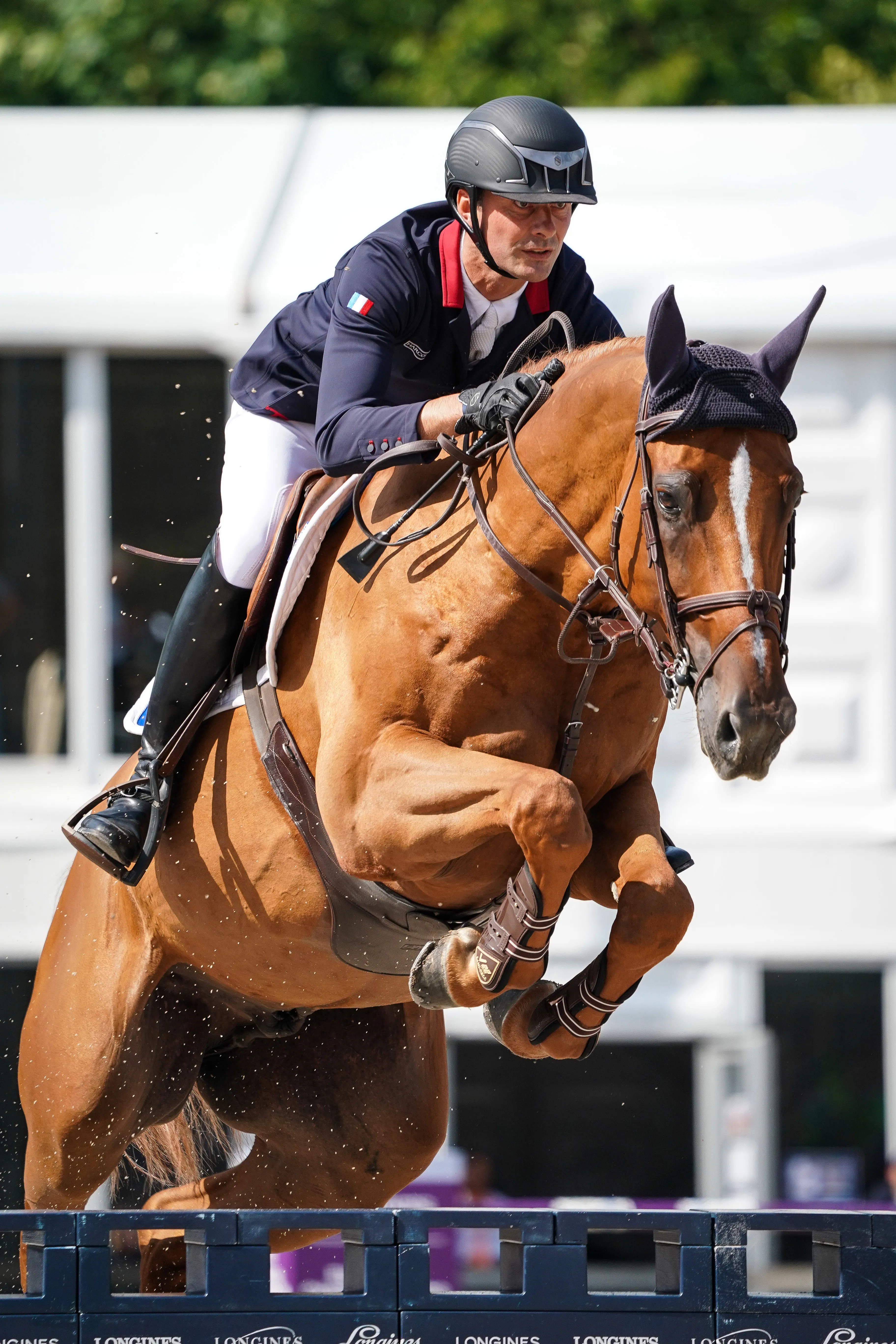 Urvoso du Roch a explosé aux yeux du grand public en 2019, prenant part à son premier championnat sous la bannière tricolore. 
