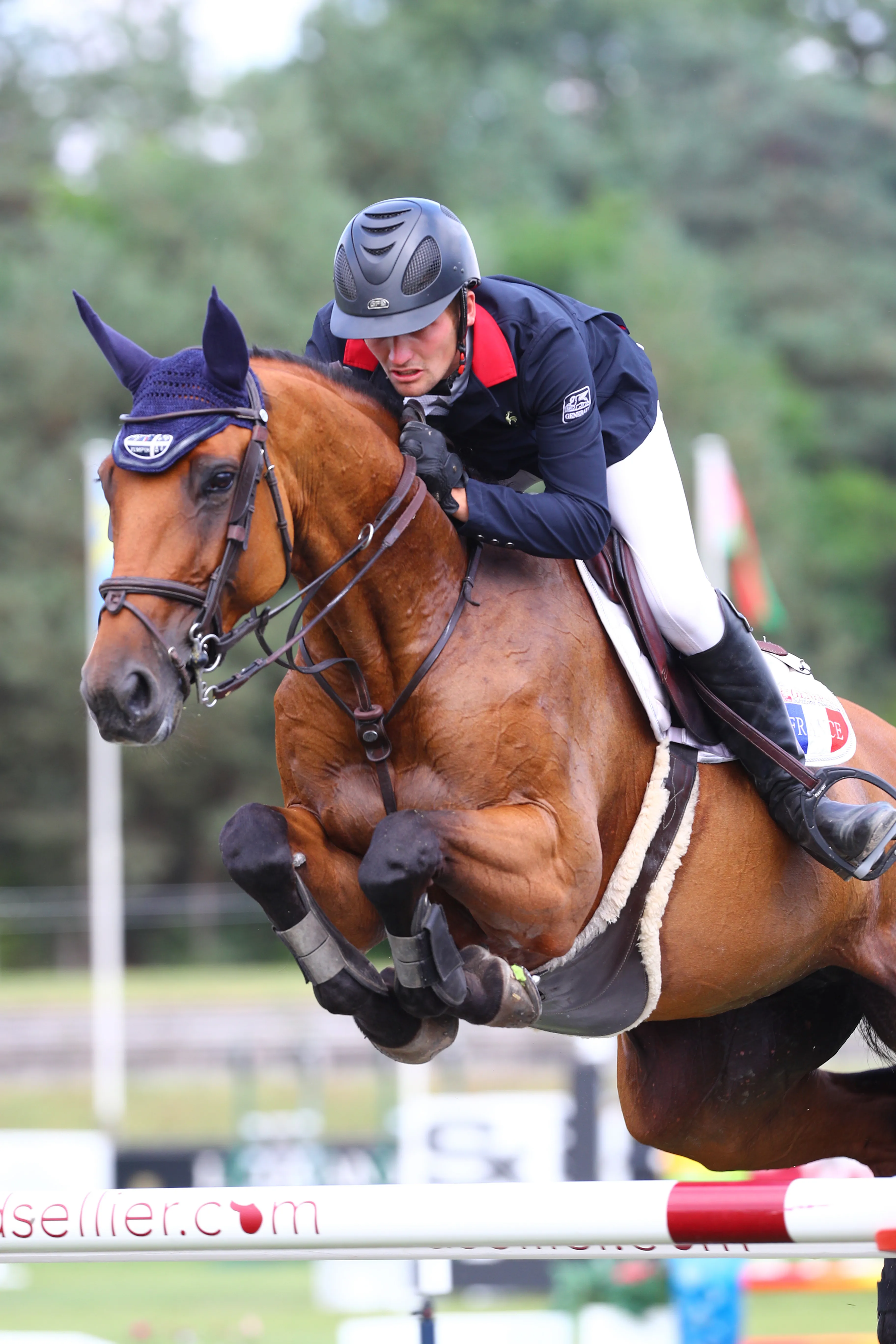 Paul Delforge et Terre du Banney ont conclu leur championnat d'Europe à la même place que l'an passé.