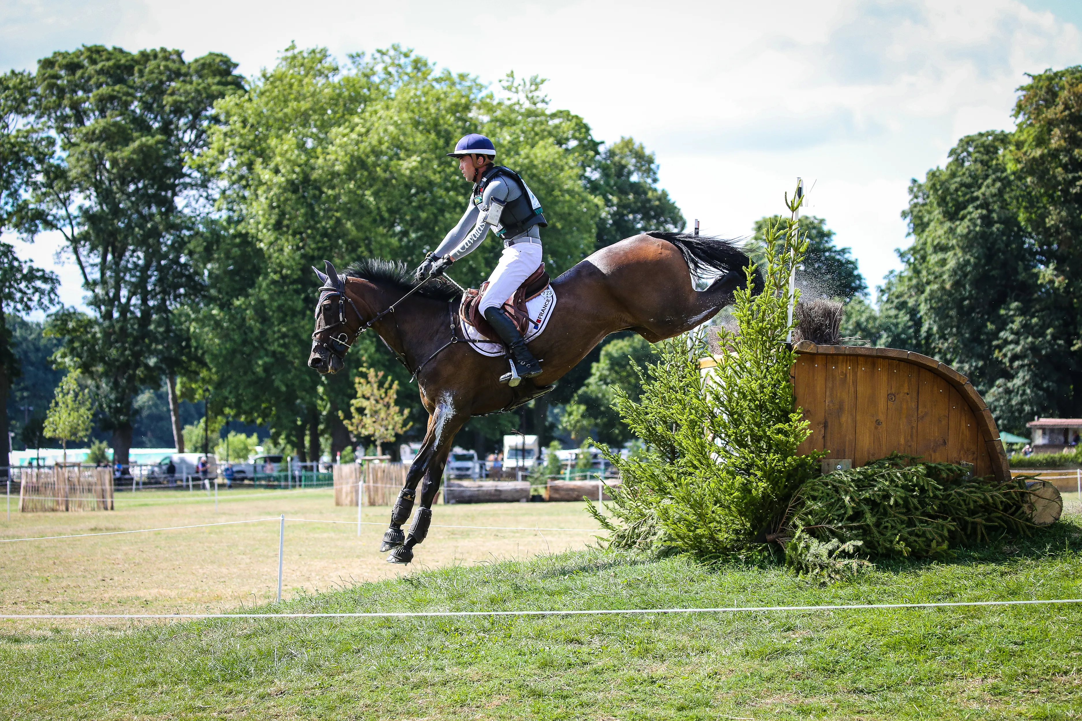 Ici sur le cross du haras de Jardy, Tzinga d'Auzay est propriété de Natacha Gimenez. 