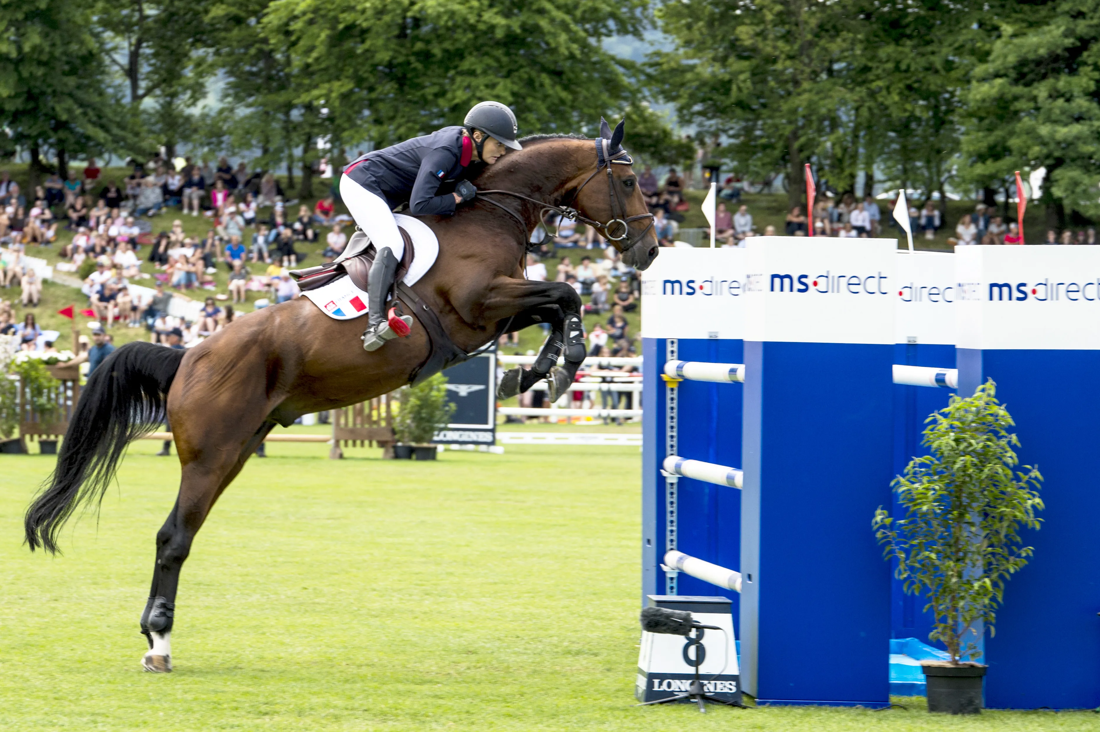 Double zéro dans la Coupe des nations Longines de Saint-Gall, l'amazone et son bai avaient largement participé à la victoire française.
