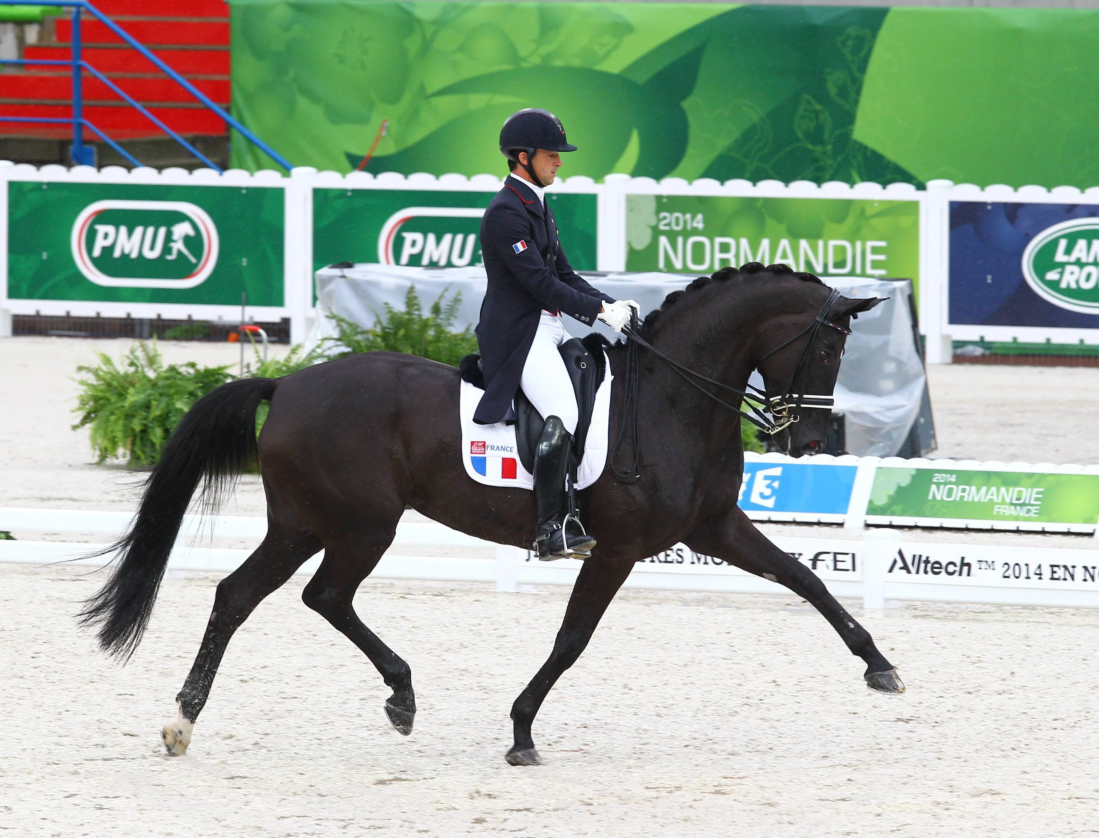 Dotée d'un sacré charisme, Noble Dream dispose également d'allures remarquables, notamment au trot.