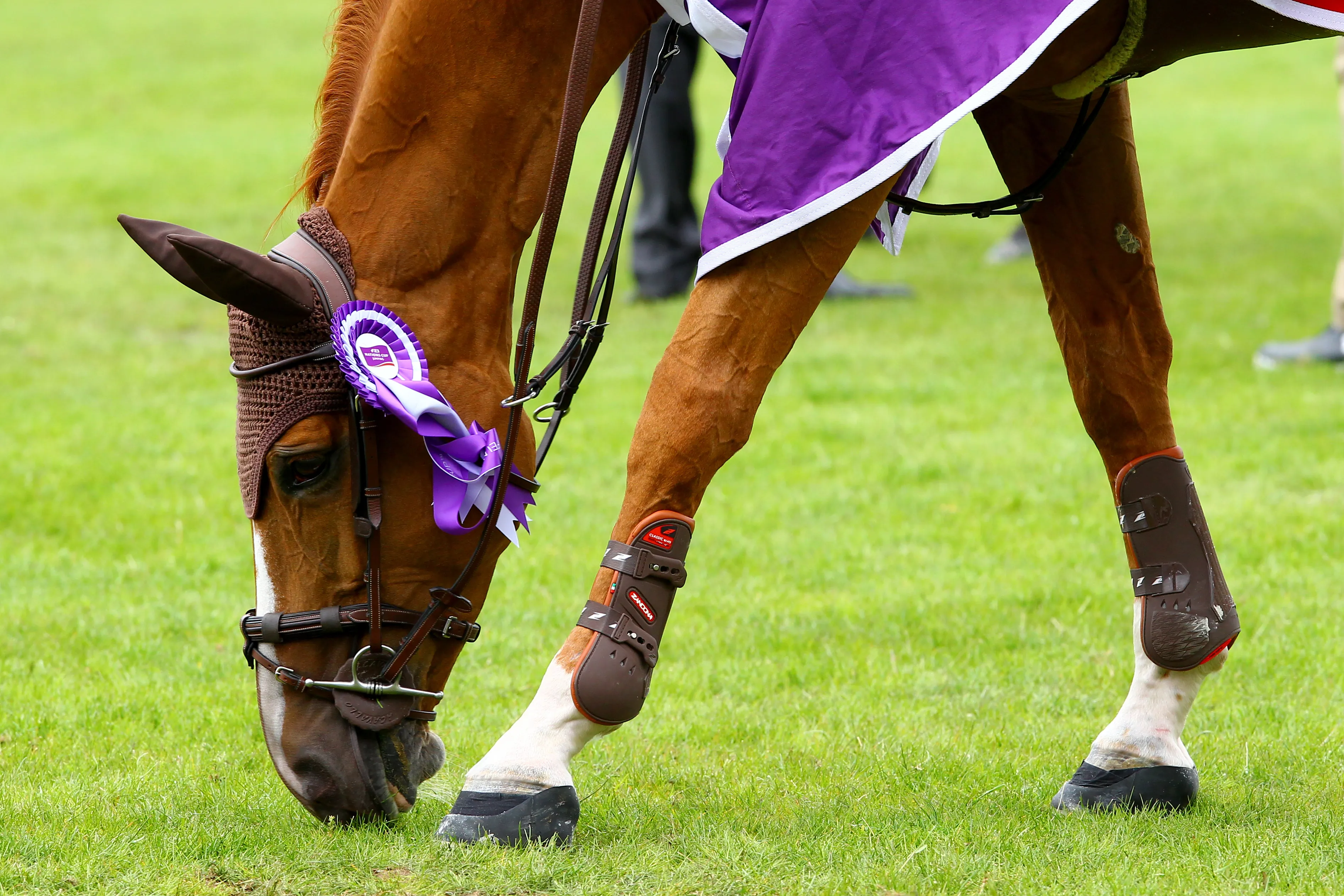 Écartée des terrains de compétition depuis juillet dernier, Flora de Mariposa poursuit sa convalescence en thalassothérapie.