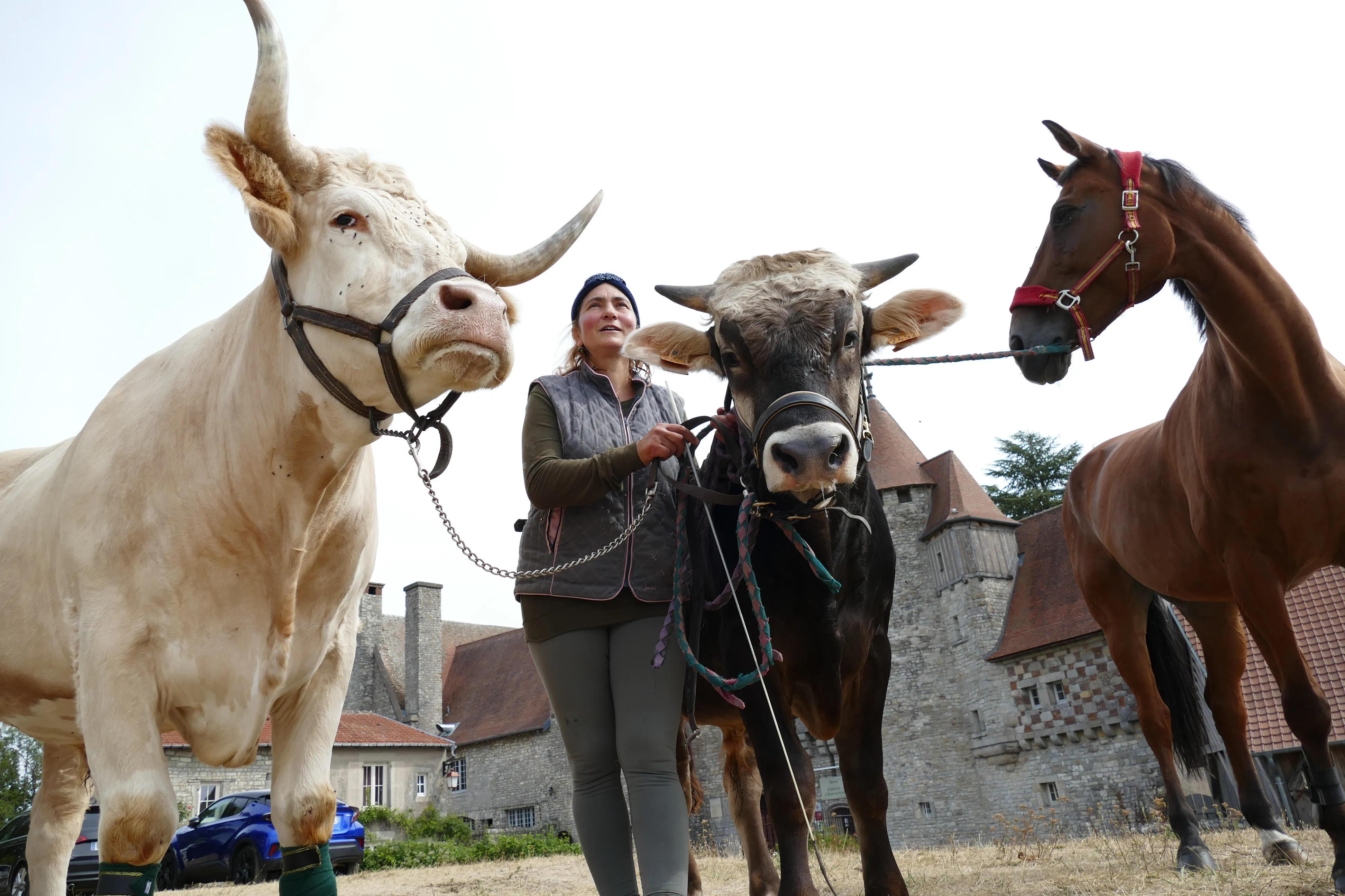 Aux côtés de Sabine, Aston, Samy et Lotus forment “une bonne bande de copains”.