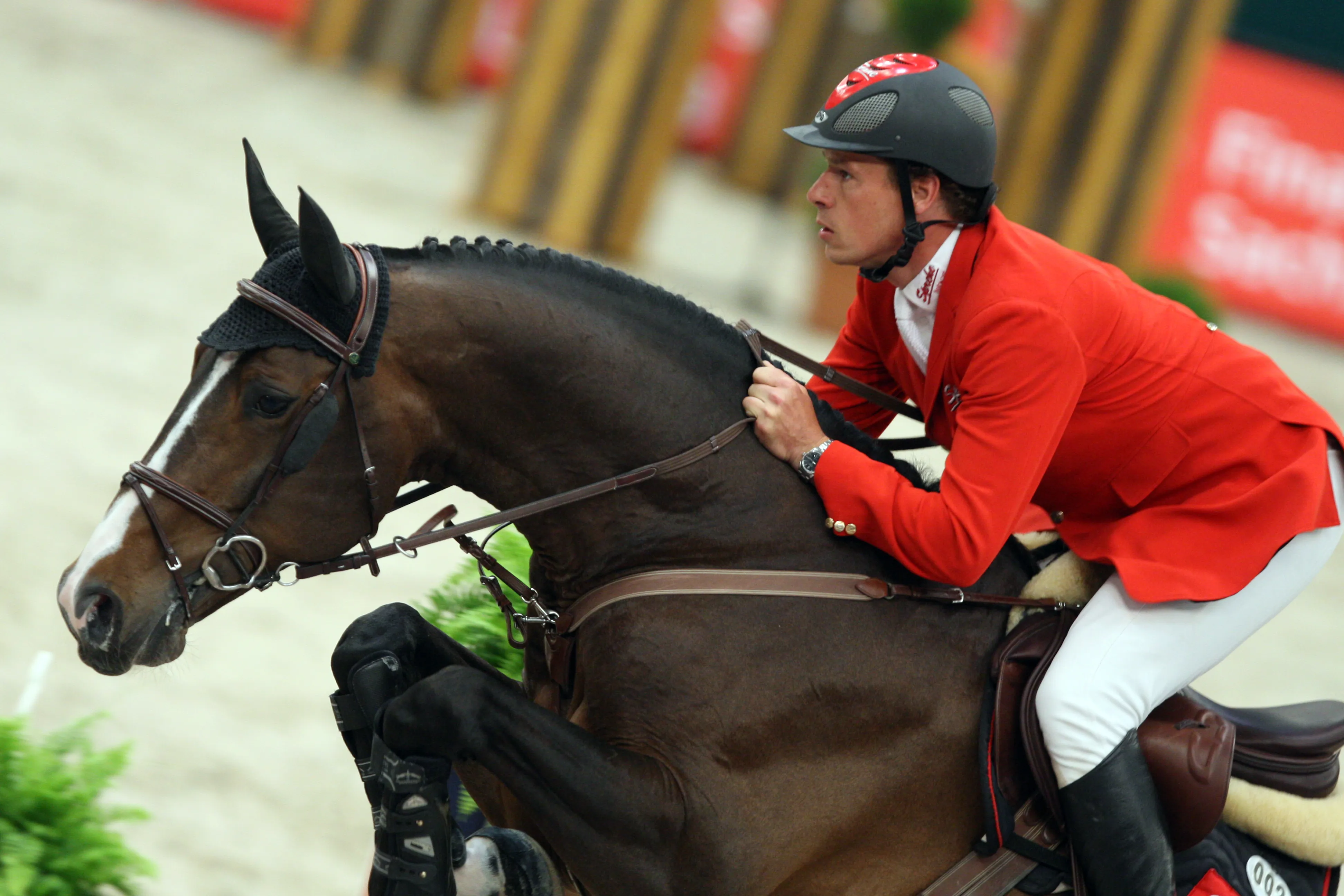 À l'aise sur tout type de pistes, Taloubet Z a notamment permis à Christian Ahlmann de remporter la finale Coupe du monde en 2011.