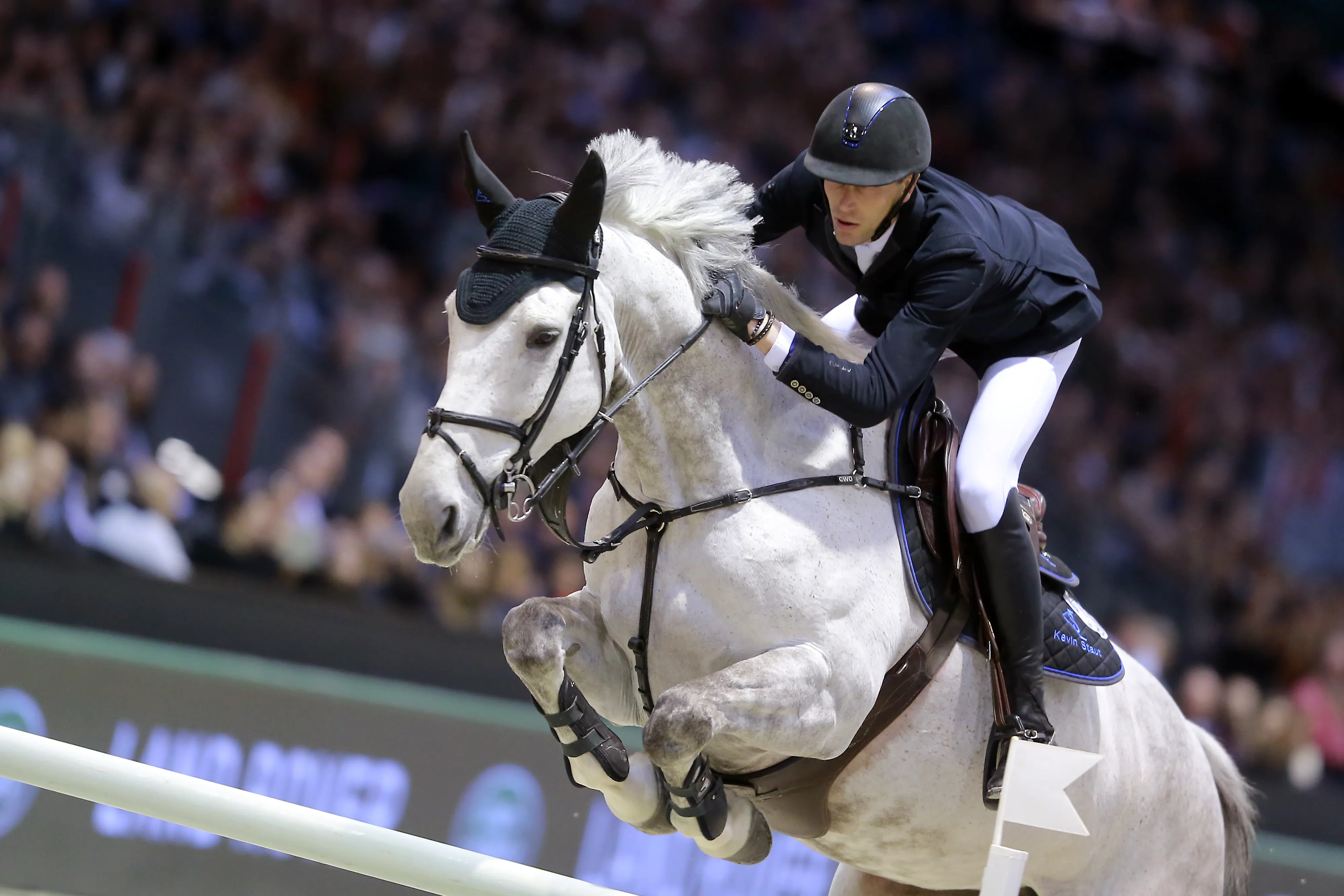 Arrivée dans les écuries du Français en novembre, Tolède de Mescam devrait participer à sa première finale de Coupe du monde en avril.
