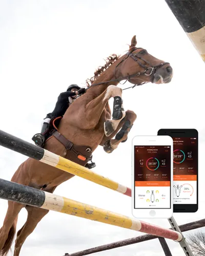 EQUISENSE Motion af?che le nombre de sauts pour ne jamais aller trop loin.