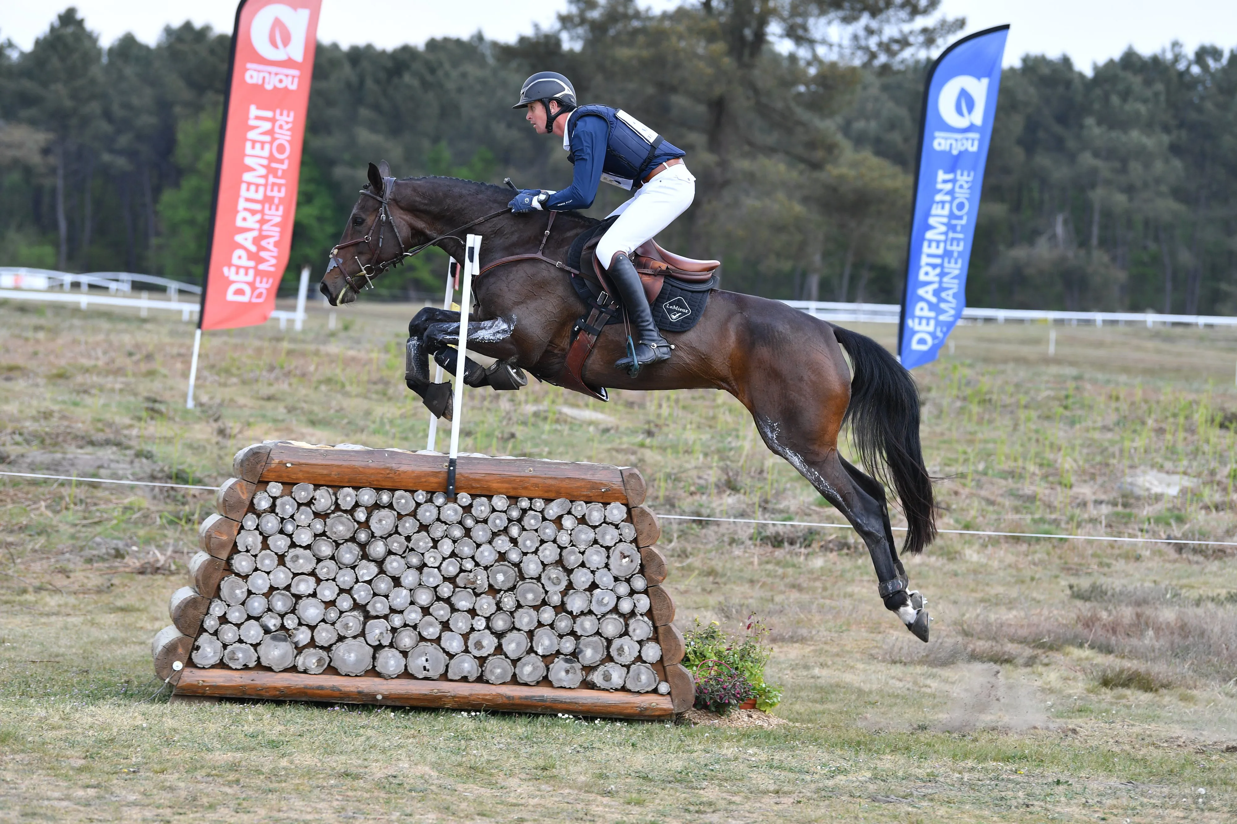 Cette saison, Thomas Carlile et Birmane ont été invaincus par leurs coéquipiés tricolores dans chacune des compétitions auxquelles ils ont pris part. 