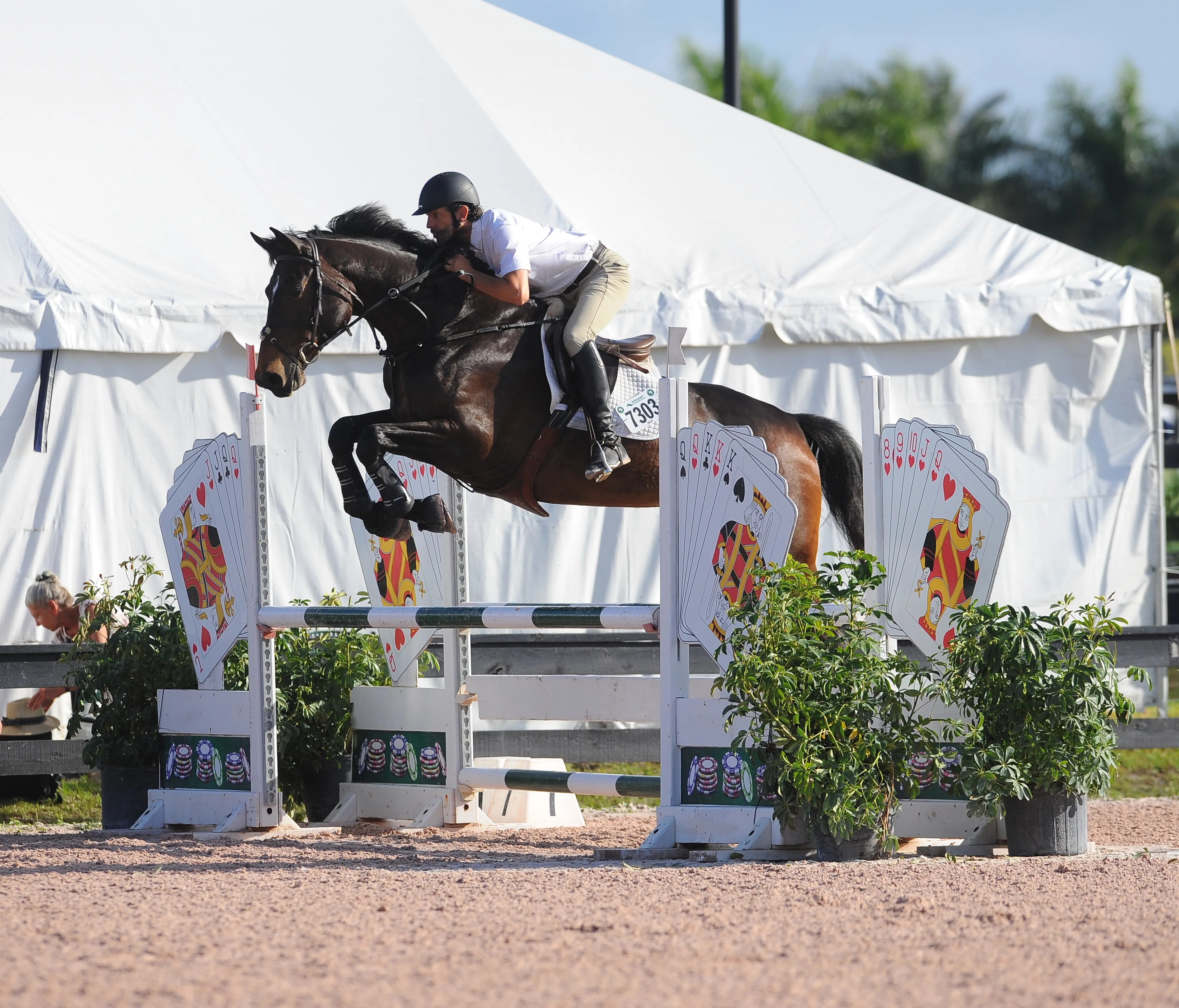 Noche de Ronda et Manuel Lecuona dans une épreuve à 1m à Wellington en 2015.