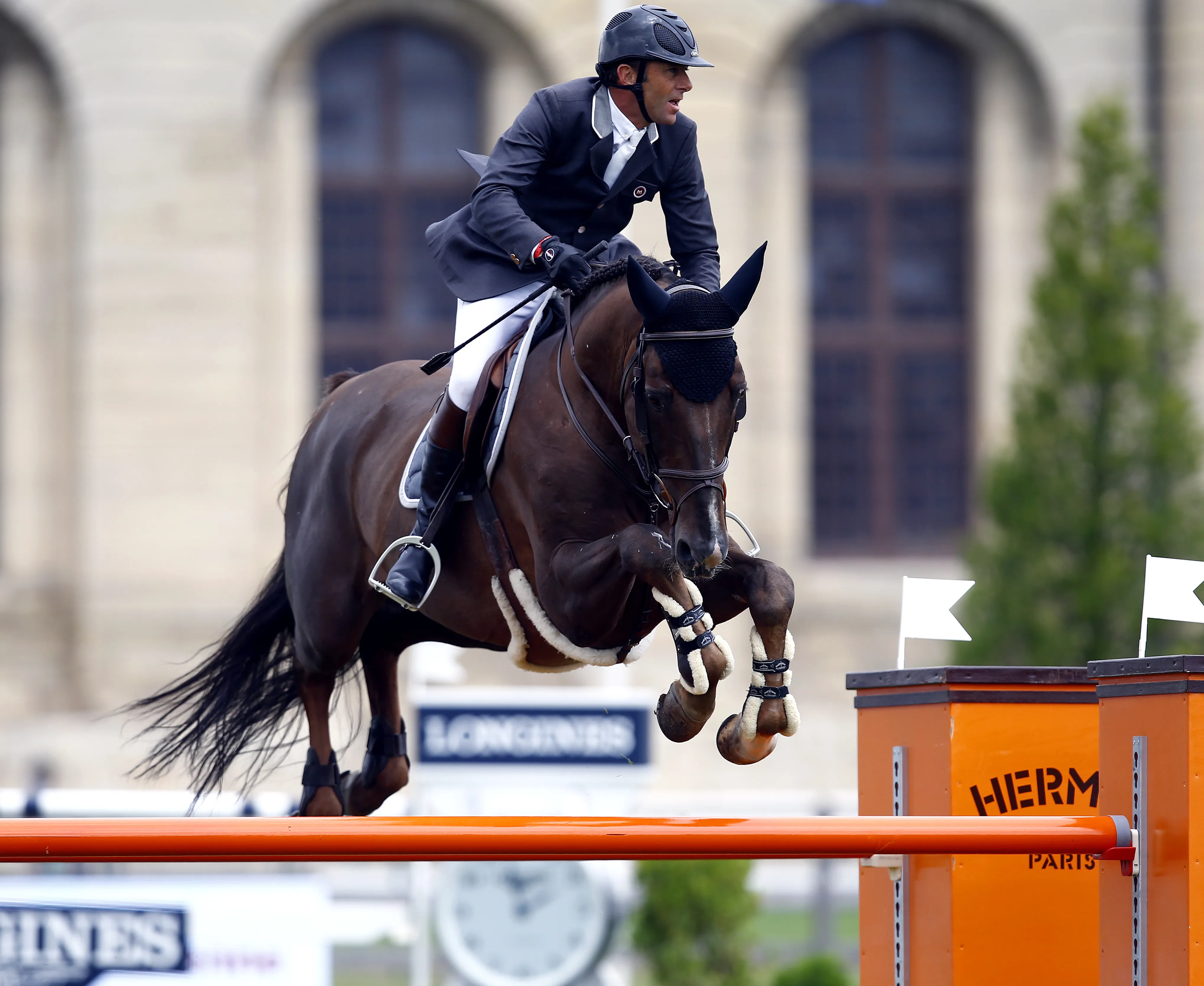 Pour sa dernière saison de compétition, Quartz Rouge était passé sous la selle de Philippe Rozier.