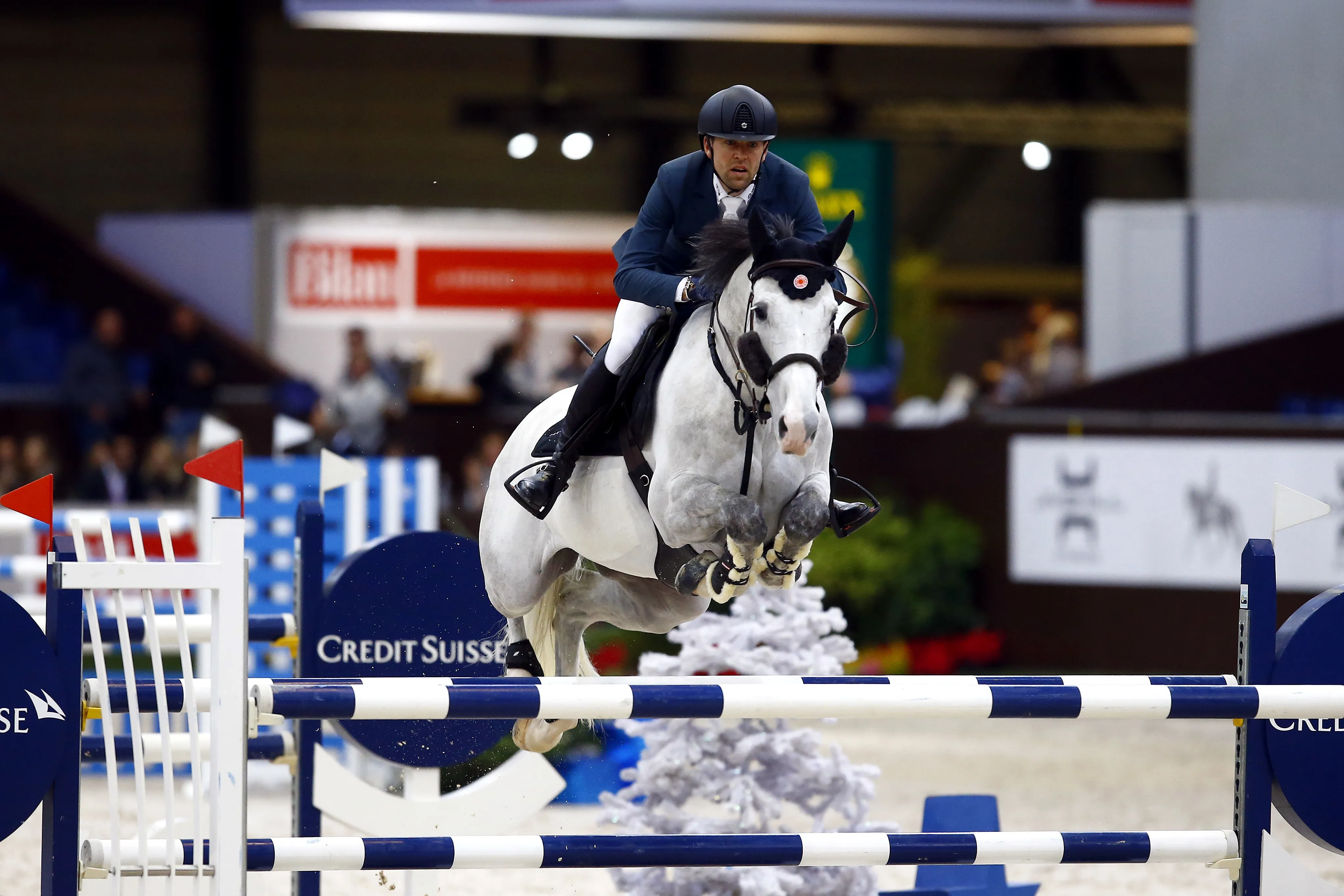 Nouveau venu dans l'écurie du Lorrain, Filou Carlo Zimequest a un bel avenir devant lui à en croire les paroles de son cavalier.