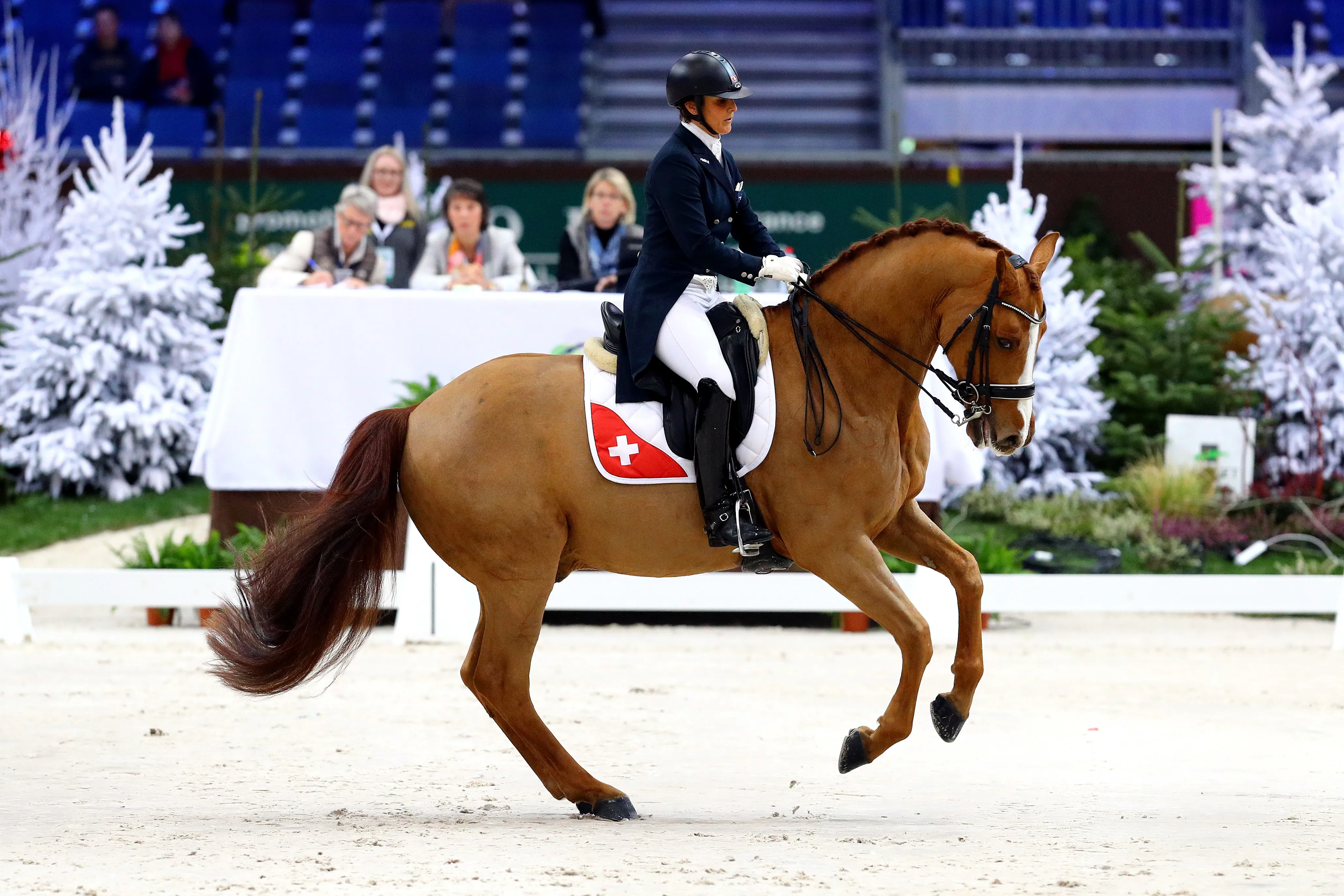 Antonella Joannou et Dandy de la Roche CMF, plus forts que jamais à Genève !