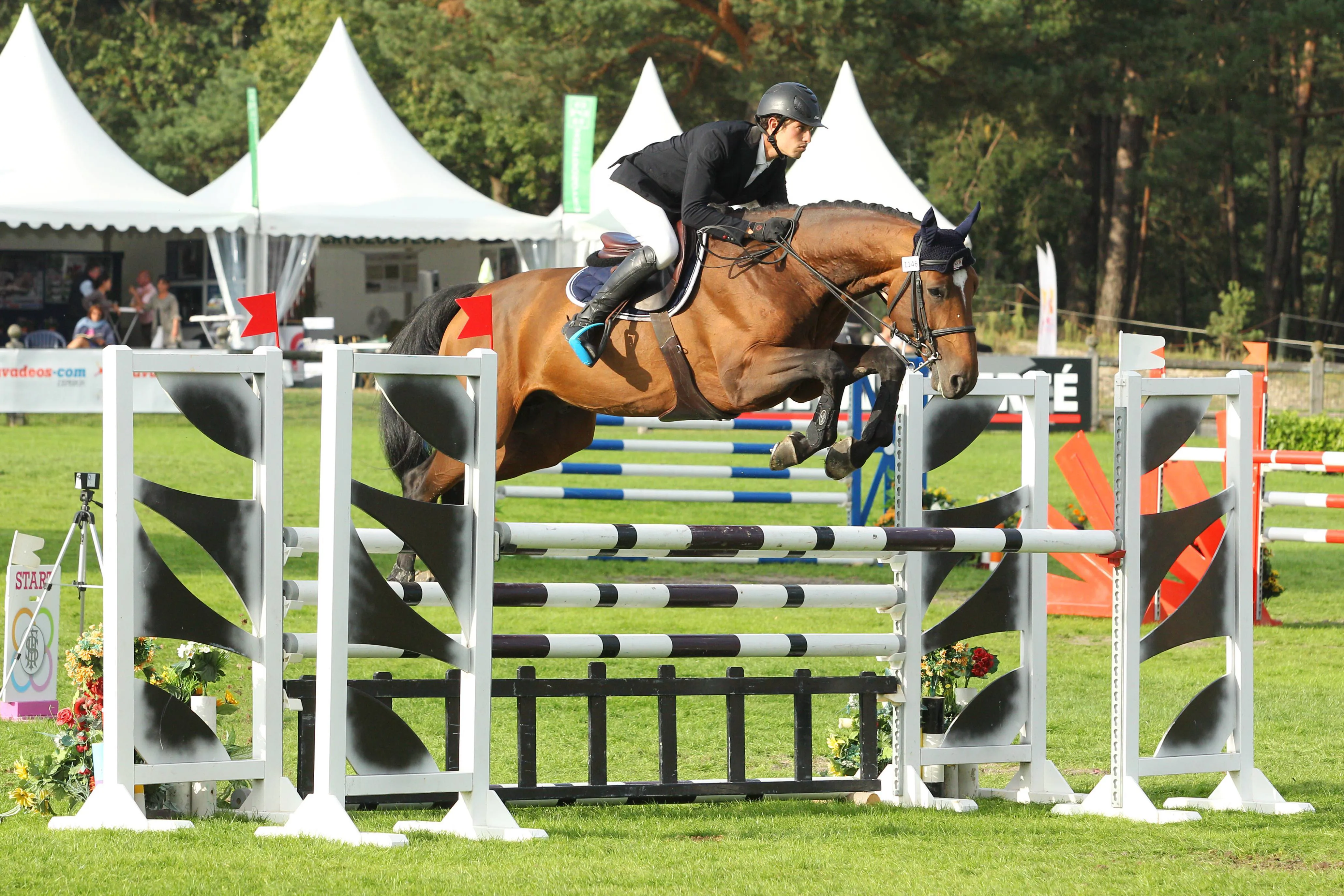 Élève modèle, Volnay du Boisdeville a été formé jusqu'à six ans par Sofian Misraoui.