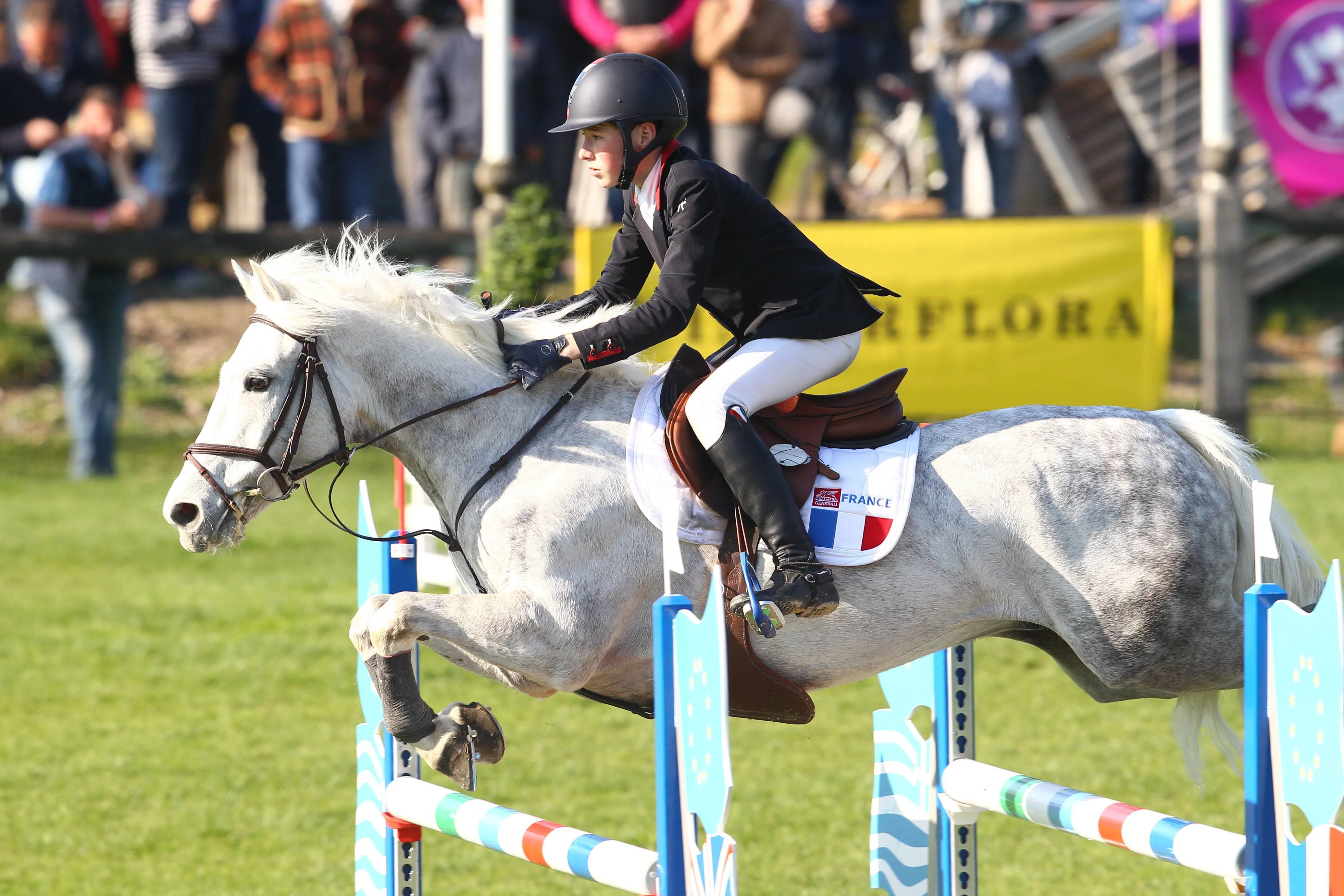 Avec Thomas Scalabre, Sligo de Mormal a remporté la Coupe des nations du BIP de Fontainebleau en 2015 et 2016.