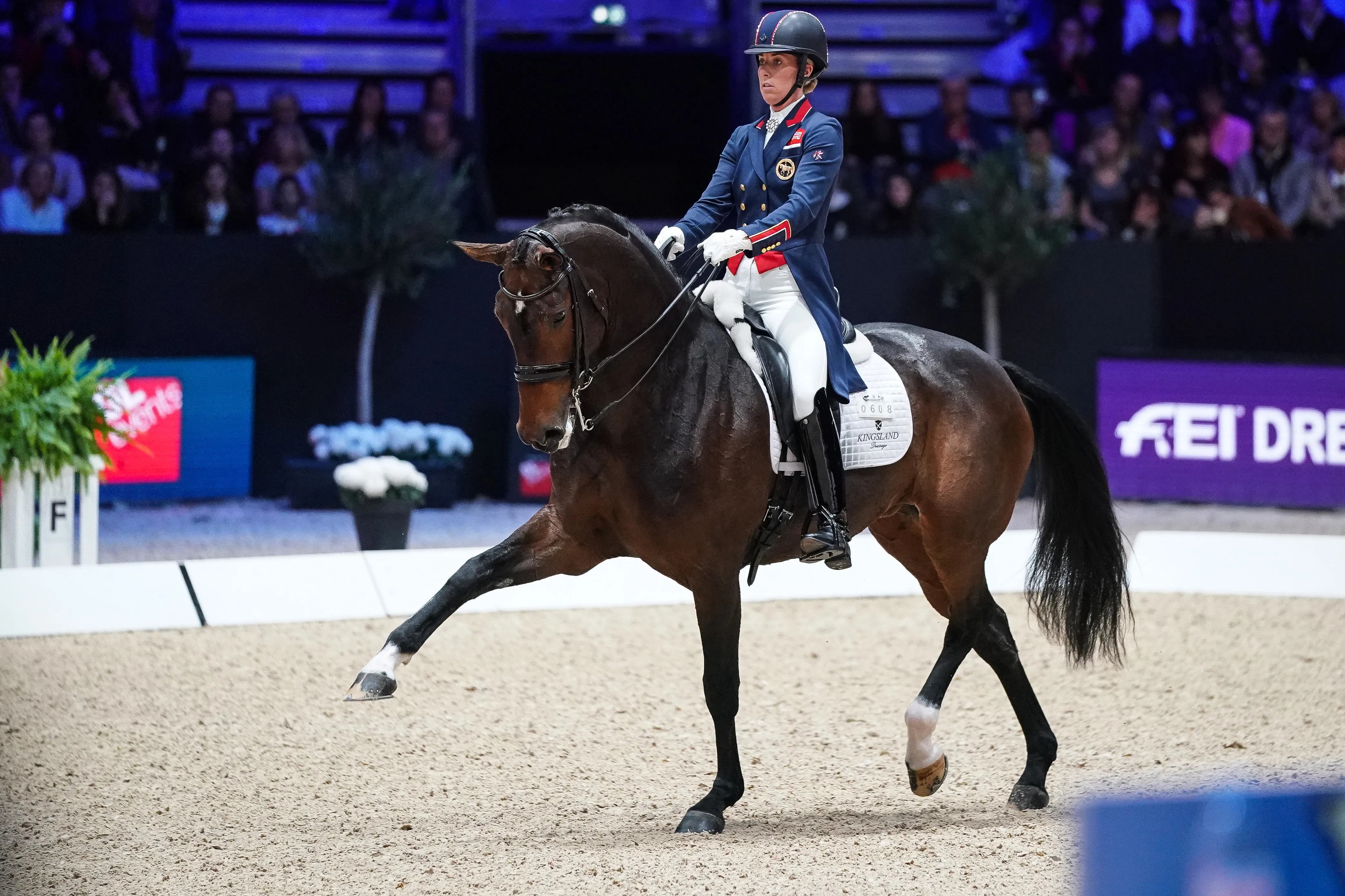 En novembre 2019, Freestyle prenait part à sa toute première étape de la Coupe du monde, à Lyon. 