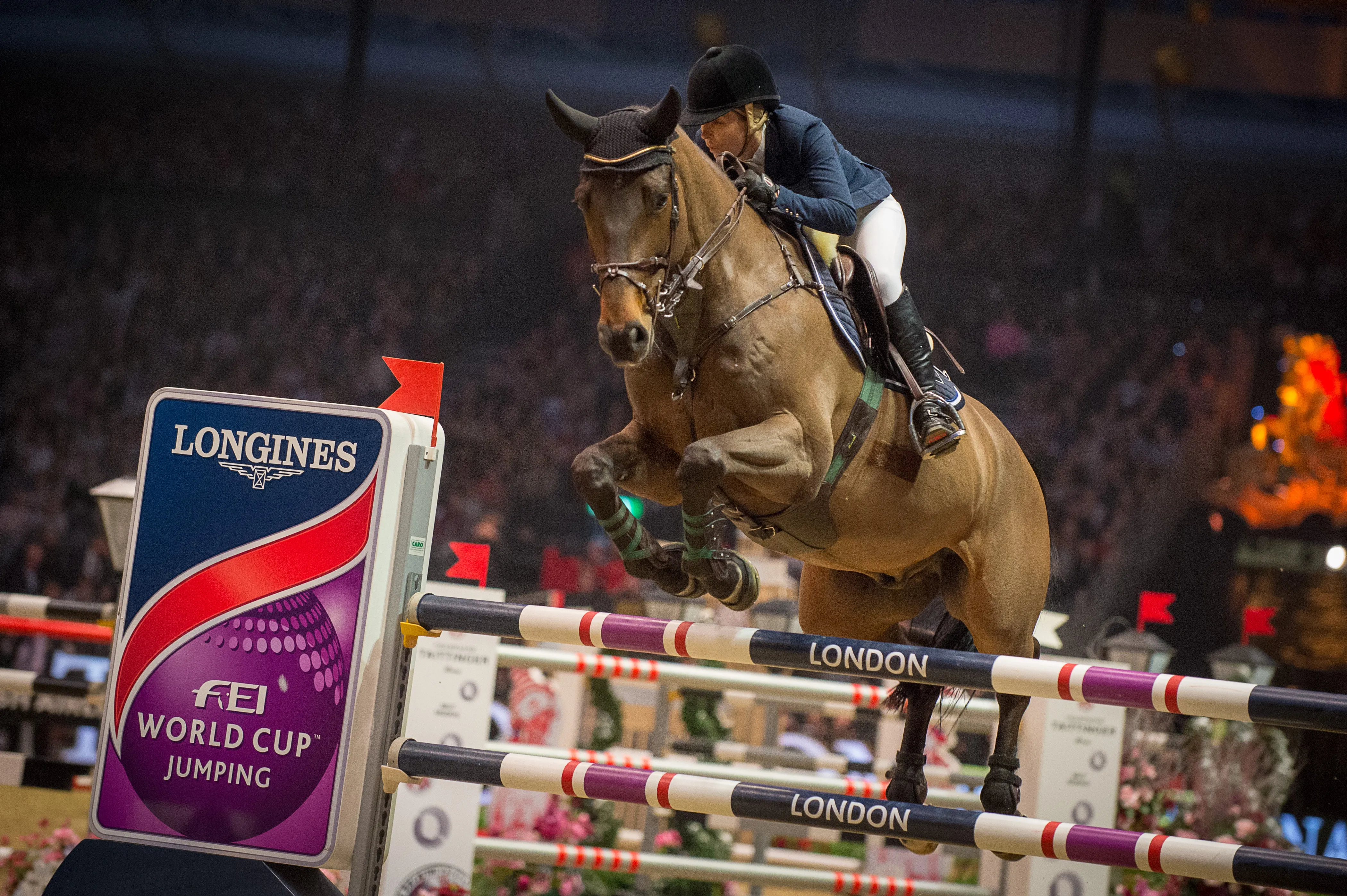 Inca Boy van't Vianahof, la nouvelle pépite d'Edwina Tops-Alexander.