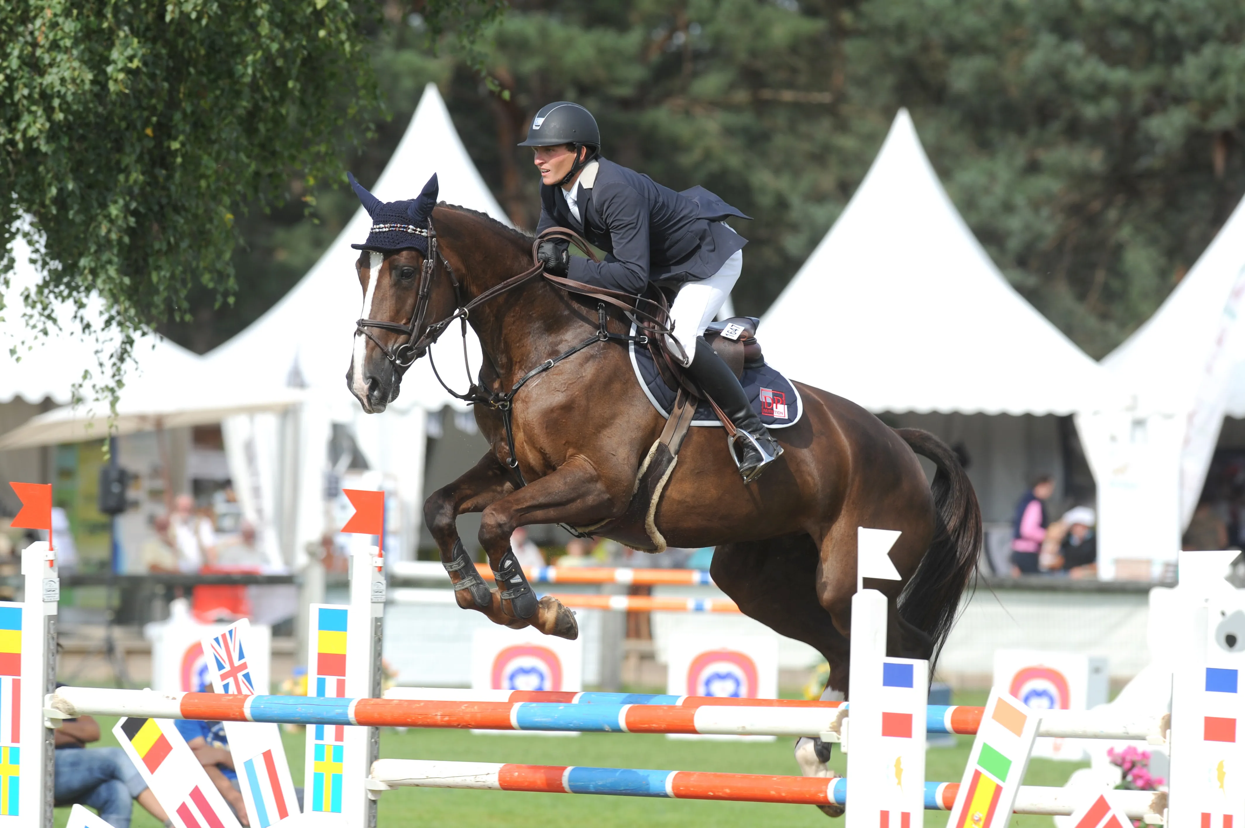 Avant de partir pour la Suisse, Quorida de Trého a participé à la finale des chevaux de sept ans avec Guillaume Batillat.