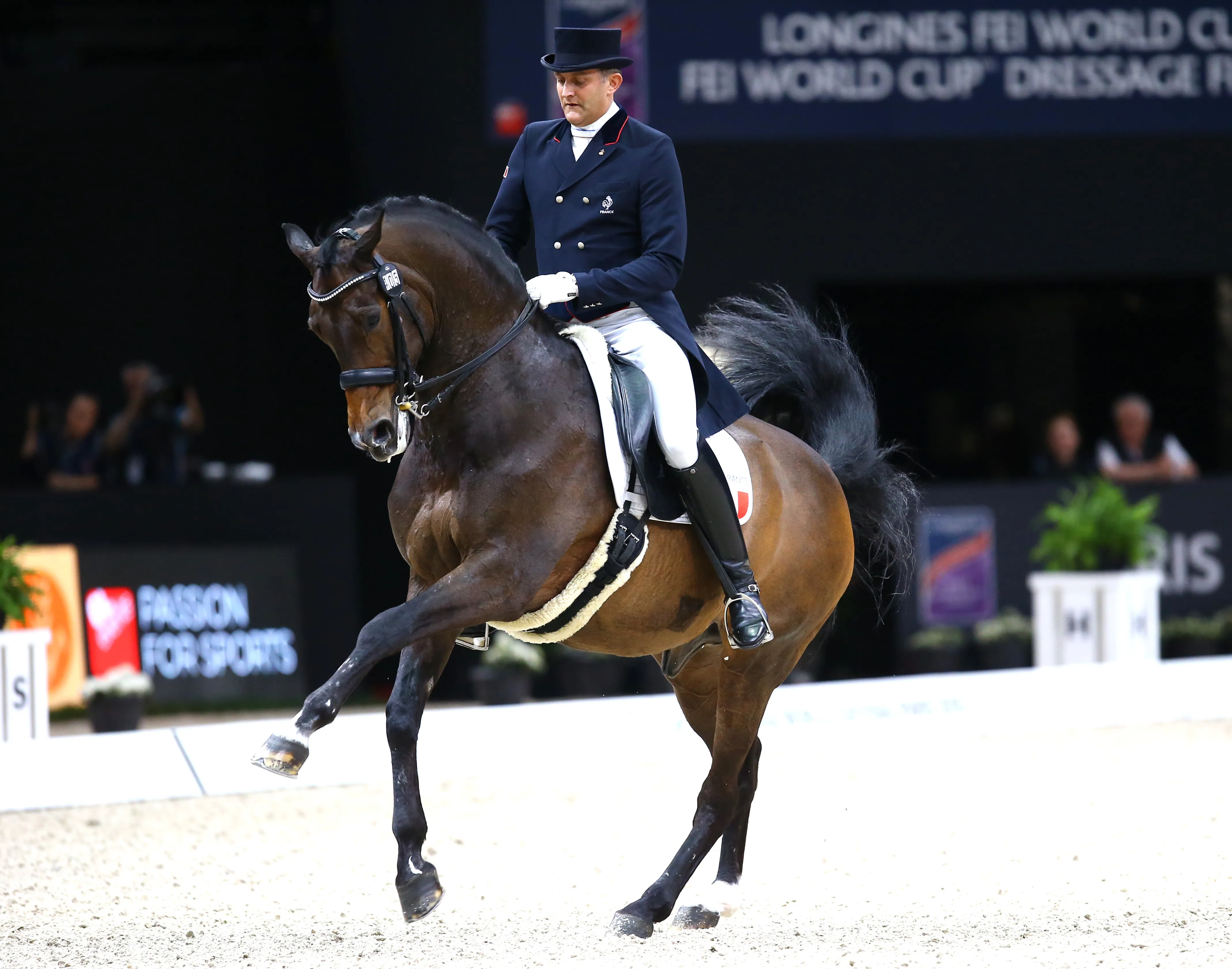 Belle prestation pour Ludovic Henry et After You cet après-midi.