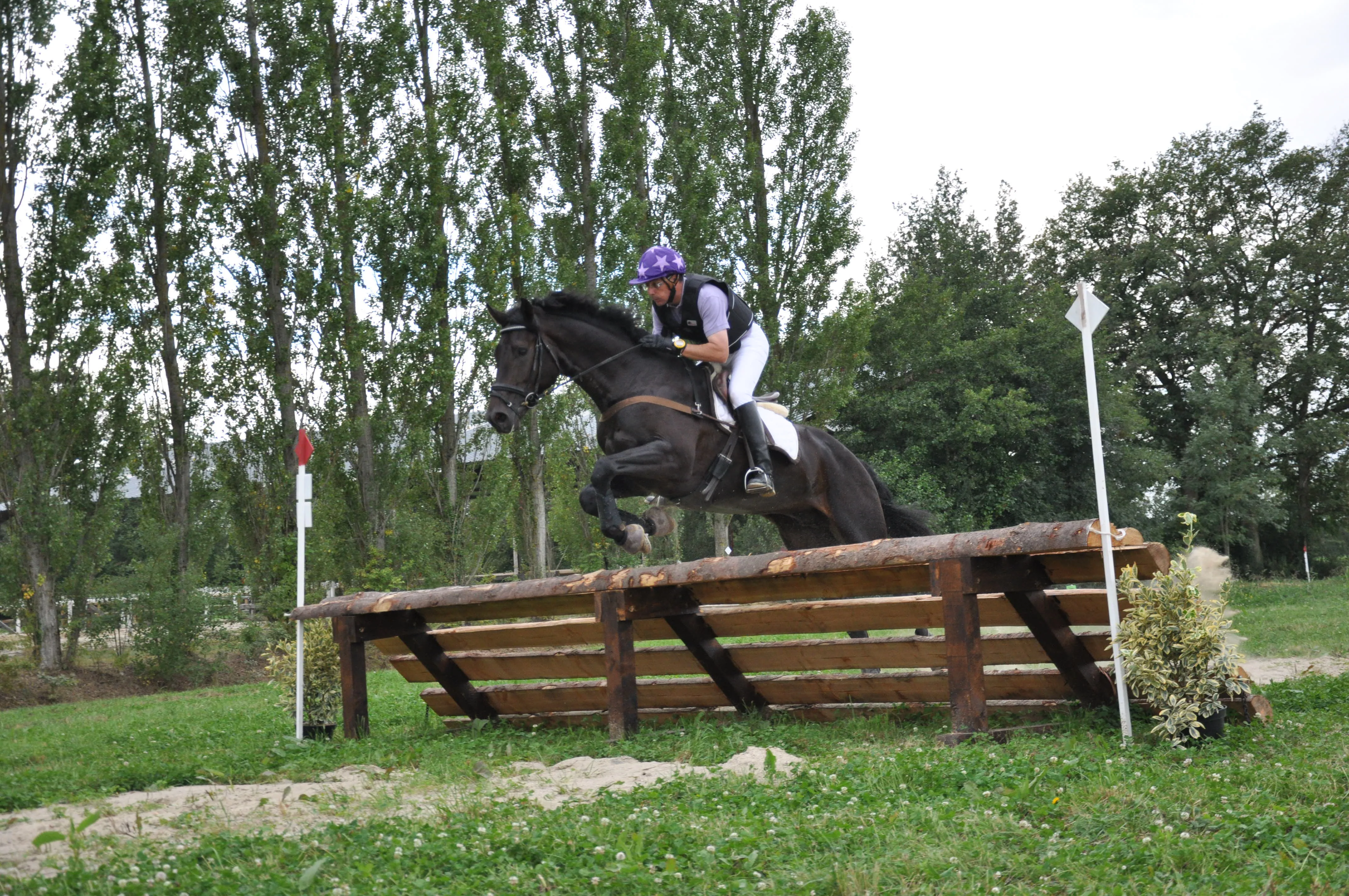S’il œuvre surtout dans le milieu du dressage, Bernard Daney a également fait ses preuves en tant que compétiteur en concours complet.