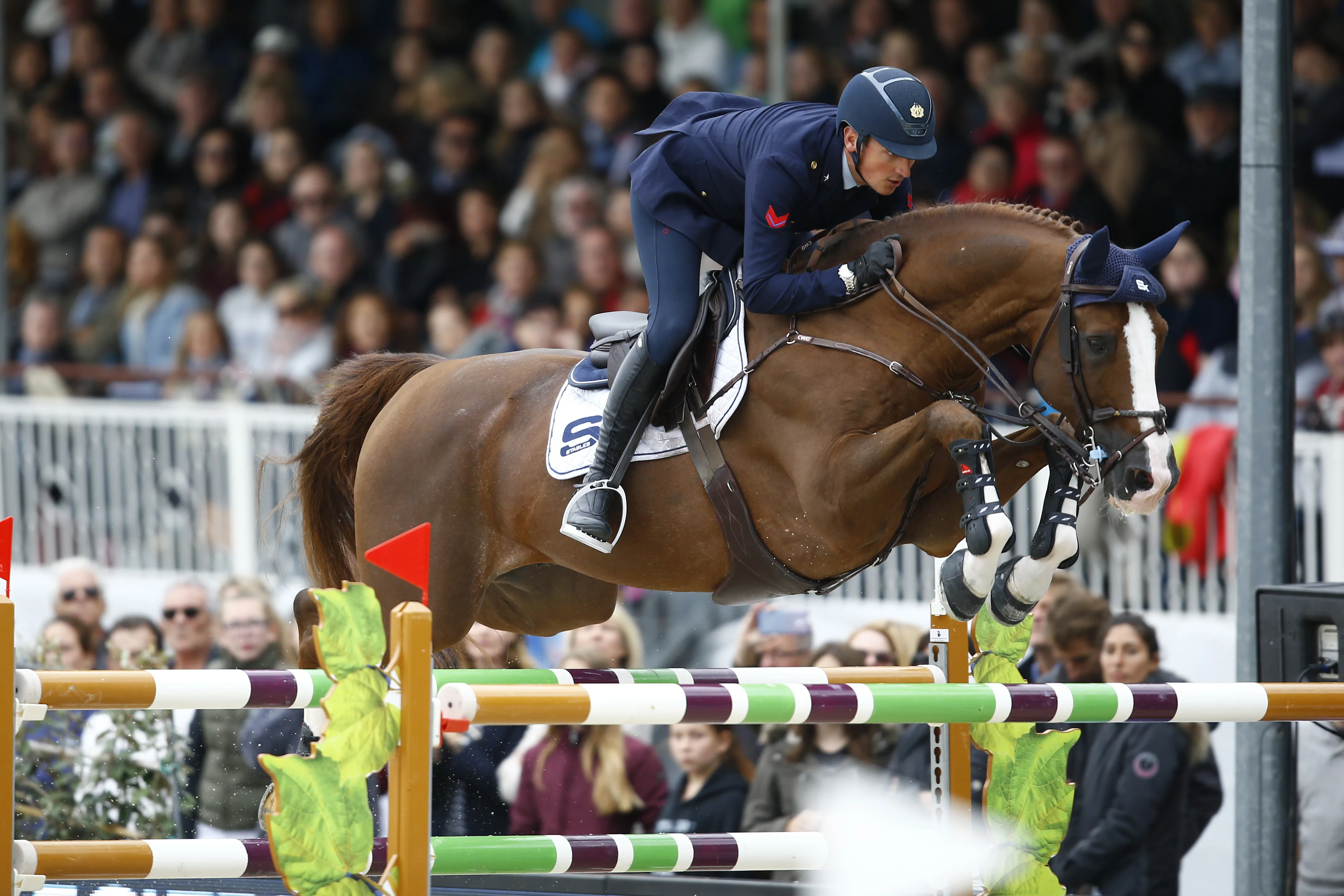 Meilleur cheval du classement WBFSH, Halifax van het Kluizebos devrait participer au circuit coupe du monde cet hiver.
