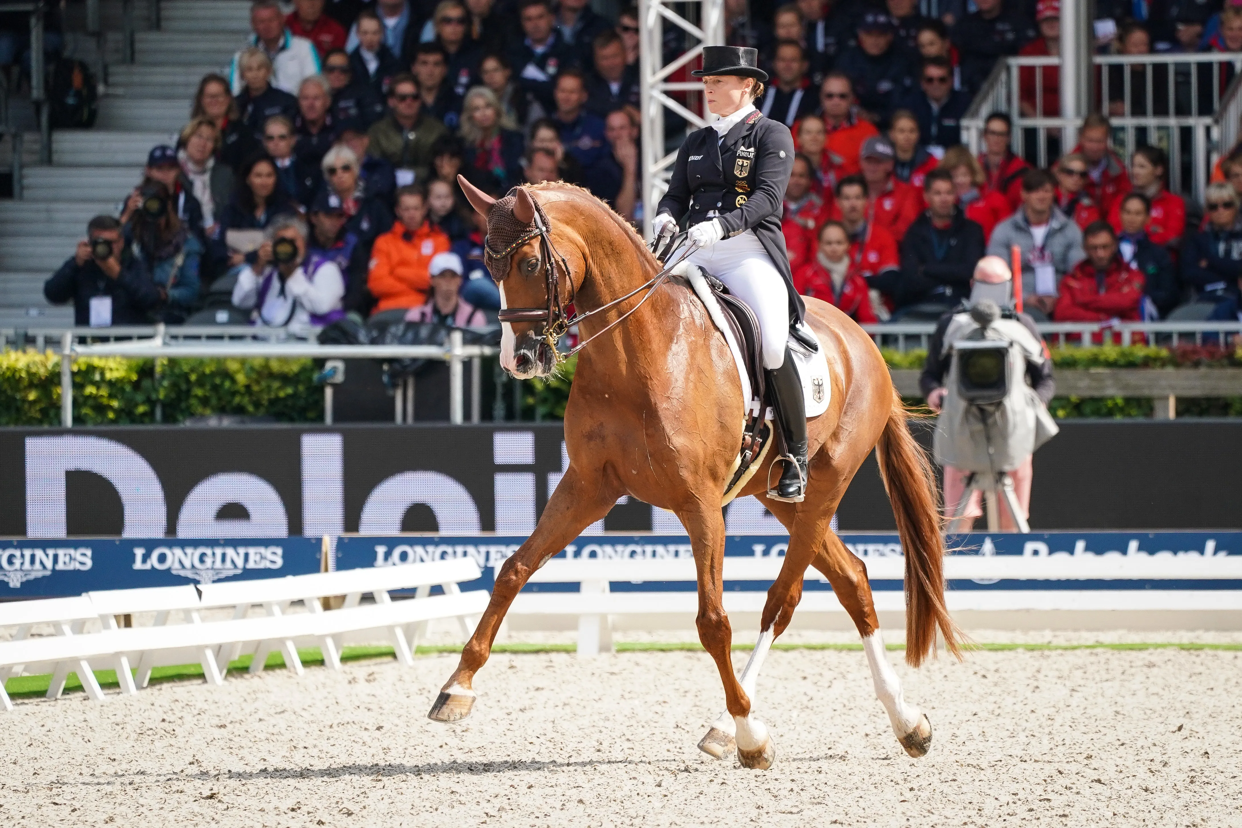 Bella Rose s'est sublimée cette saison, offrant de nouvelles médailles à sa cavalière.