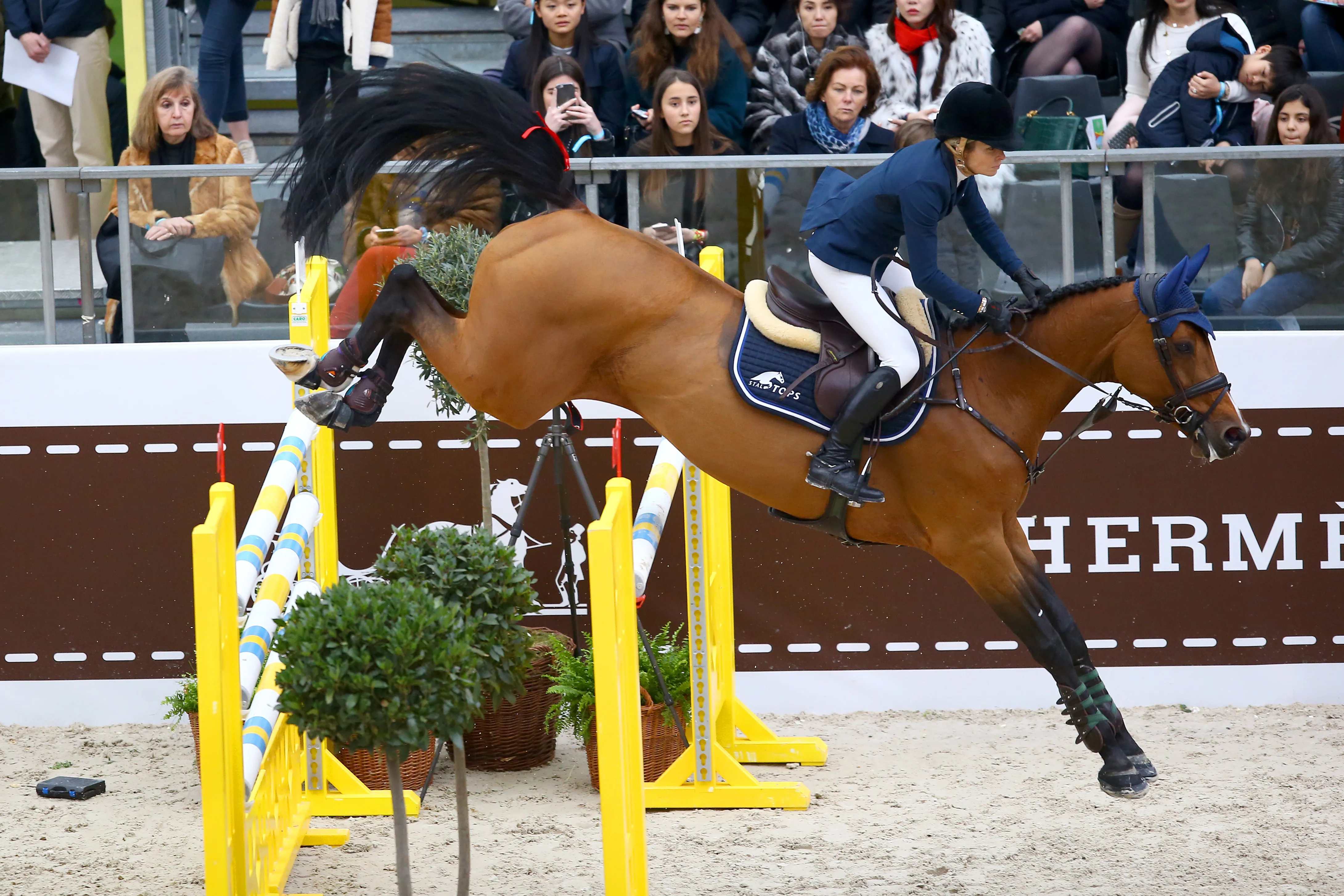 Superbe comportement de Lintea Tequila, de retour au sommet de sa forme !