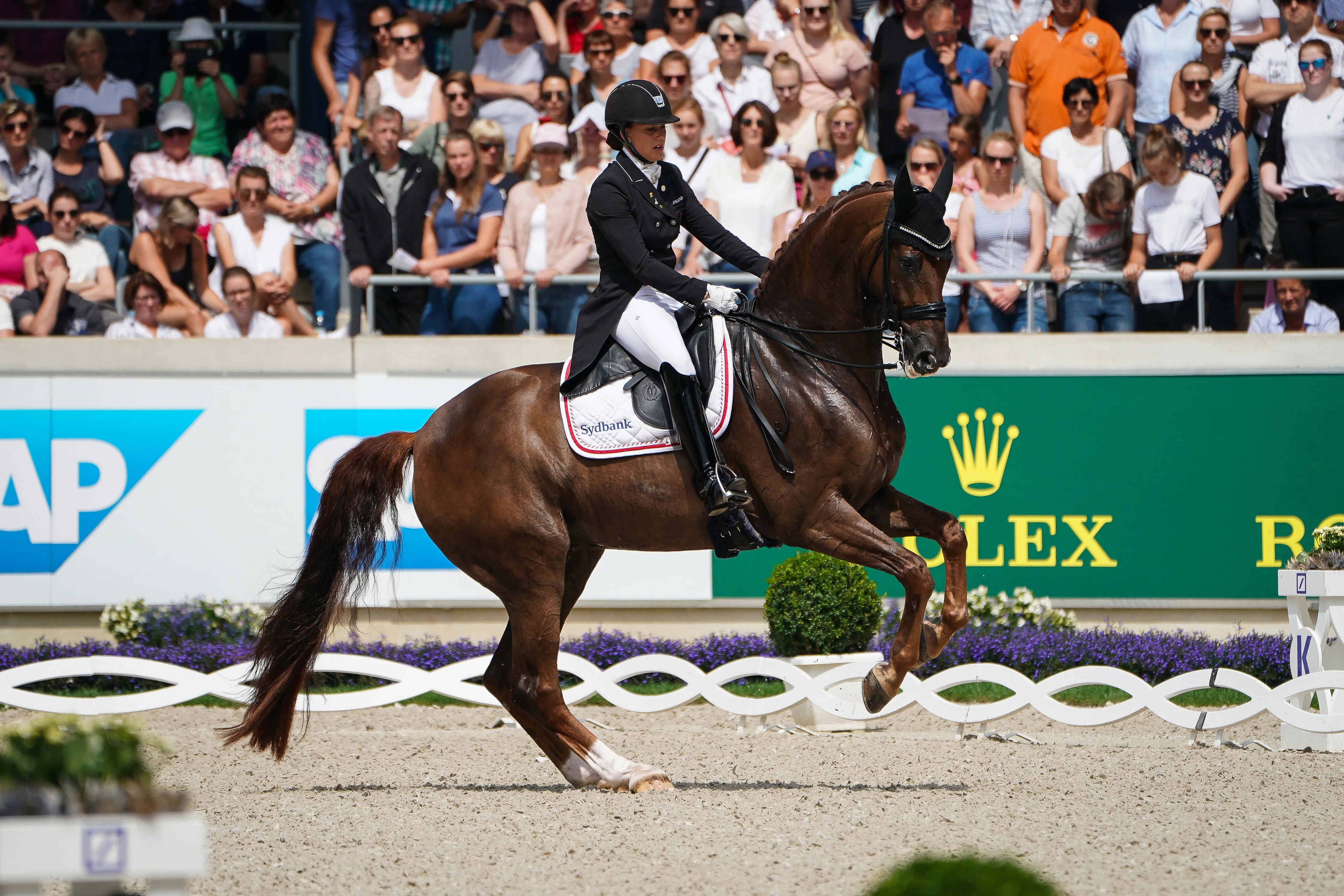 Bohemian et Cathrine Dufour lors de la Reprise Libre en Musique du CHIO d'Aix-la-Chapelle en juillet 2019. 