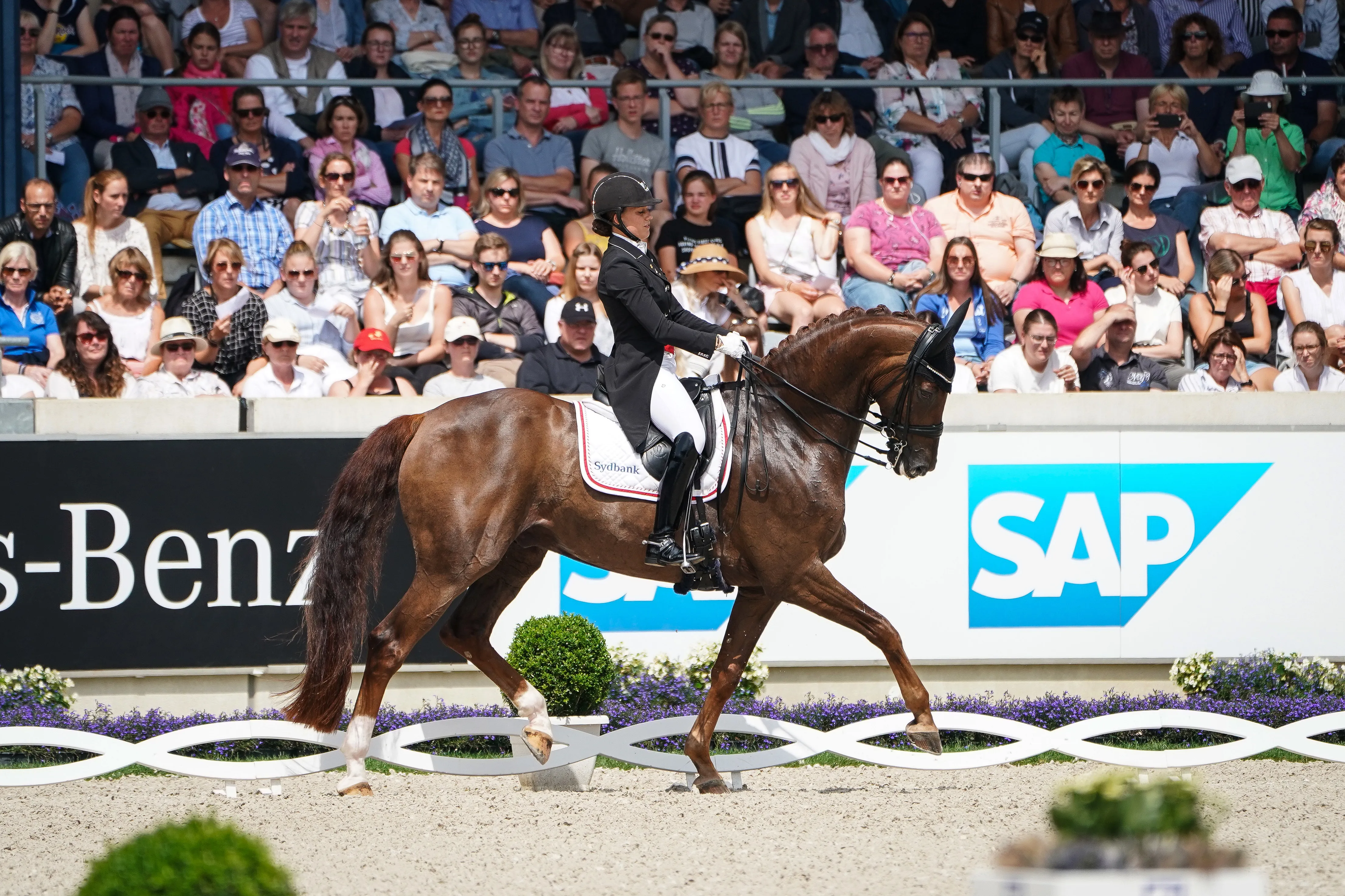 Cathrine Dufour est ici en selle sur Bohemian.