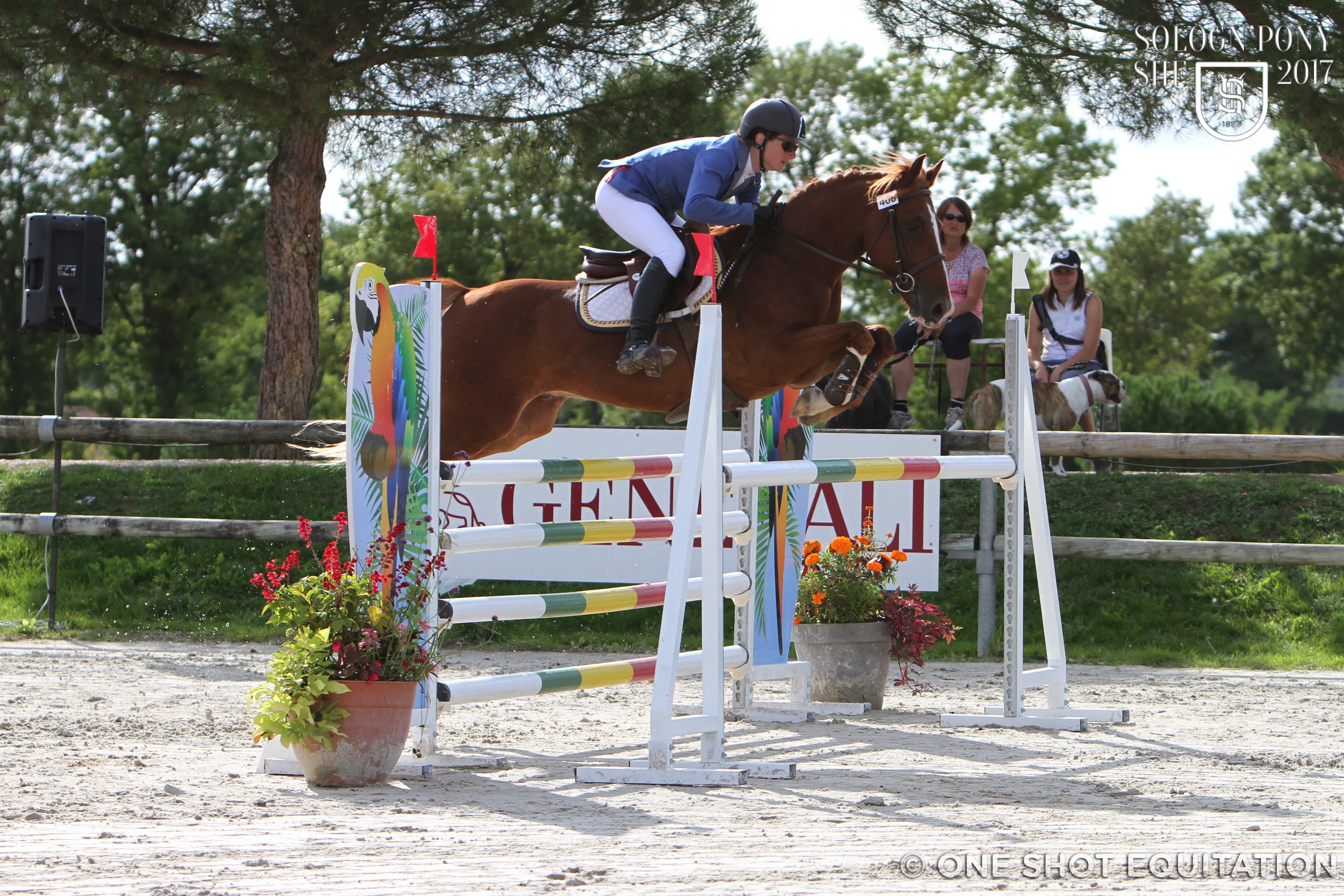 Babouche de Tatihou, championne dans les 6 ans D.