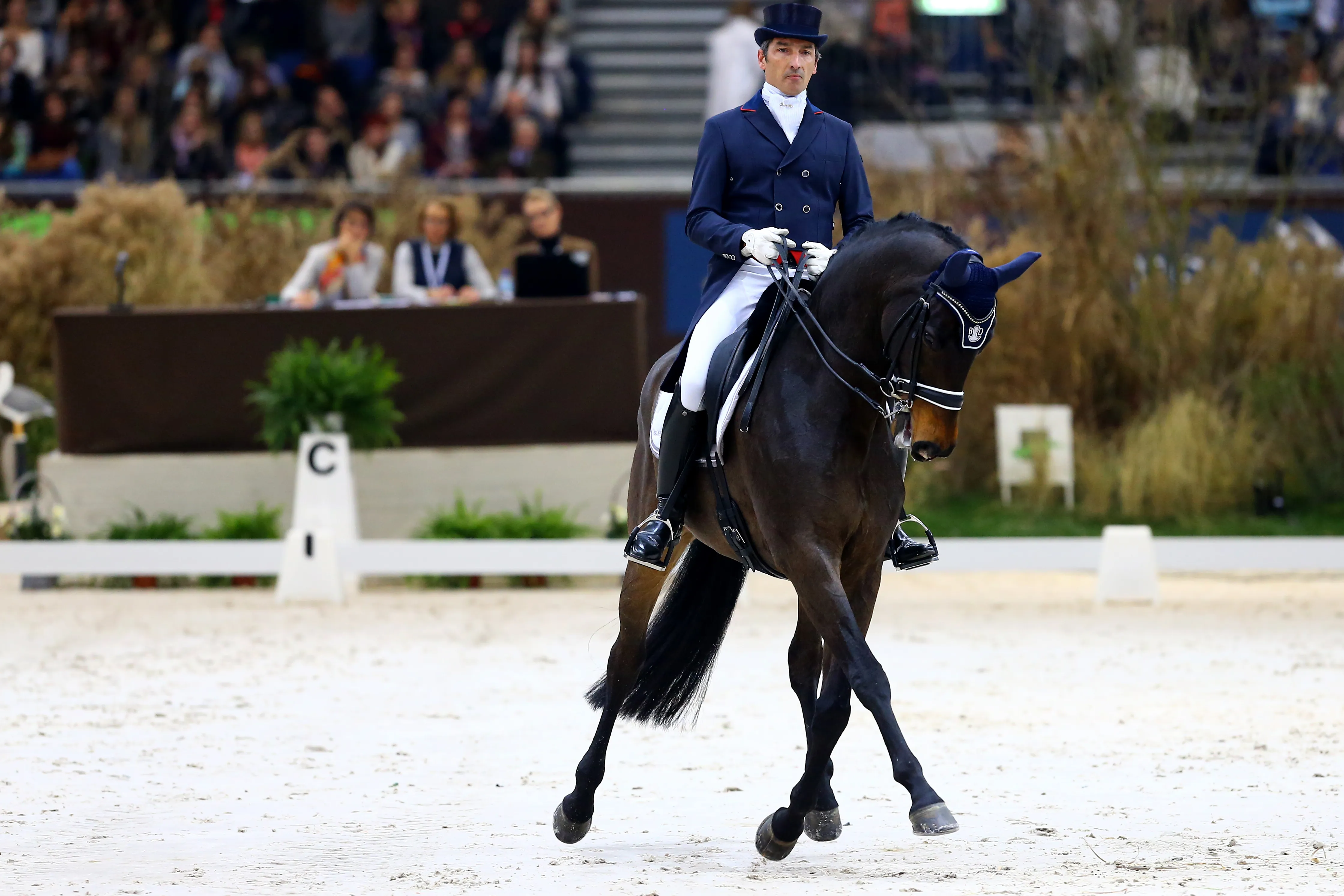 Pas qualifié pour la Libre, Bertrand Liegard et Star Wars devraient être au départ du Spécial demain en début d'après-midi.