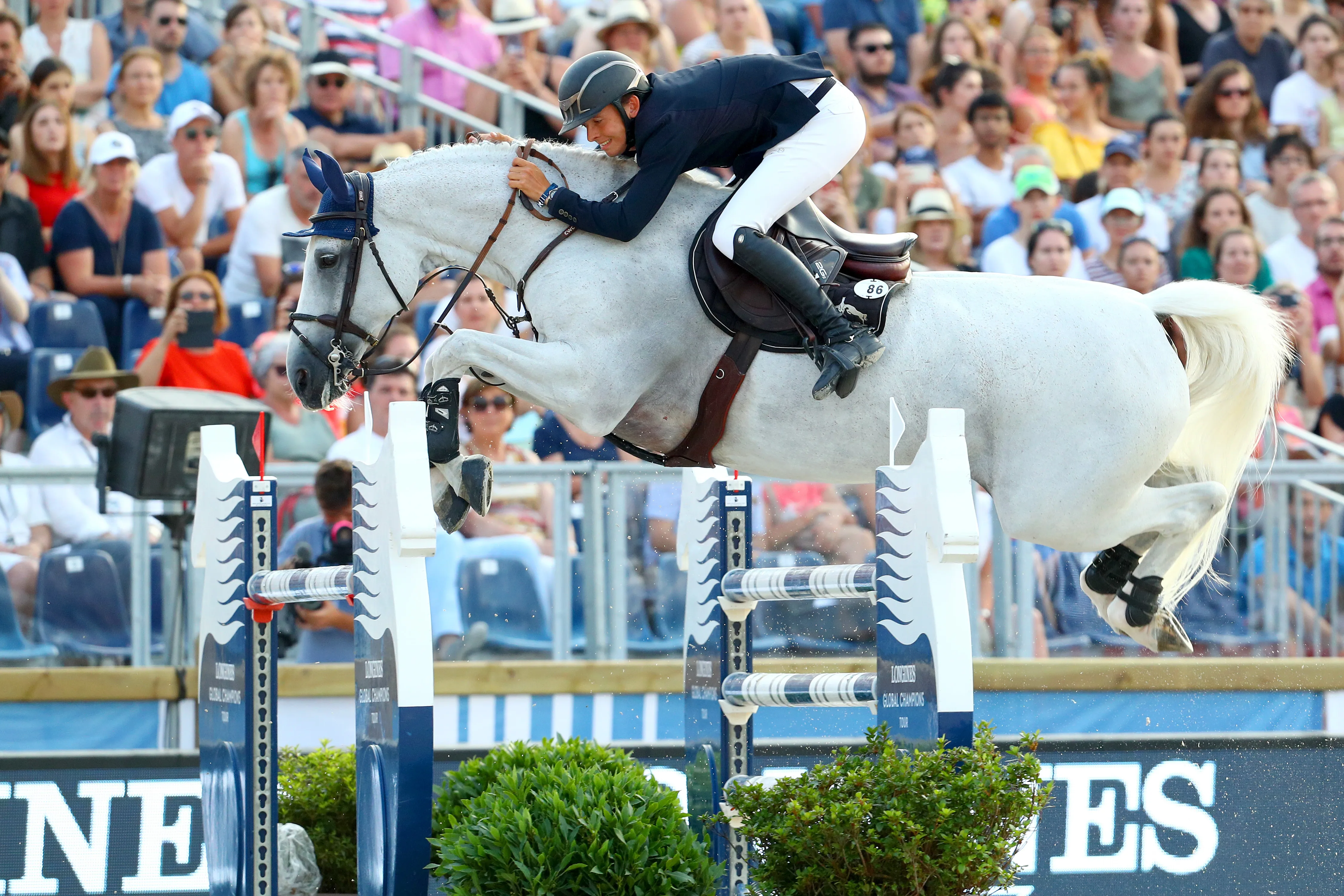 Du haut de ses quatorze ans, Molly Malone V devrait continuer à accompagner l'Irlandais sur les plus belles pistes du monde.