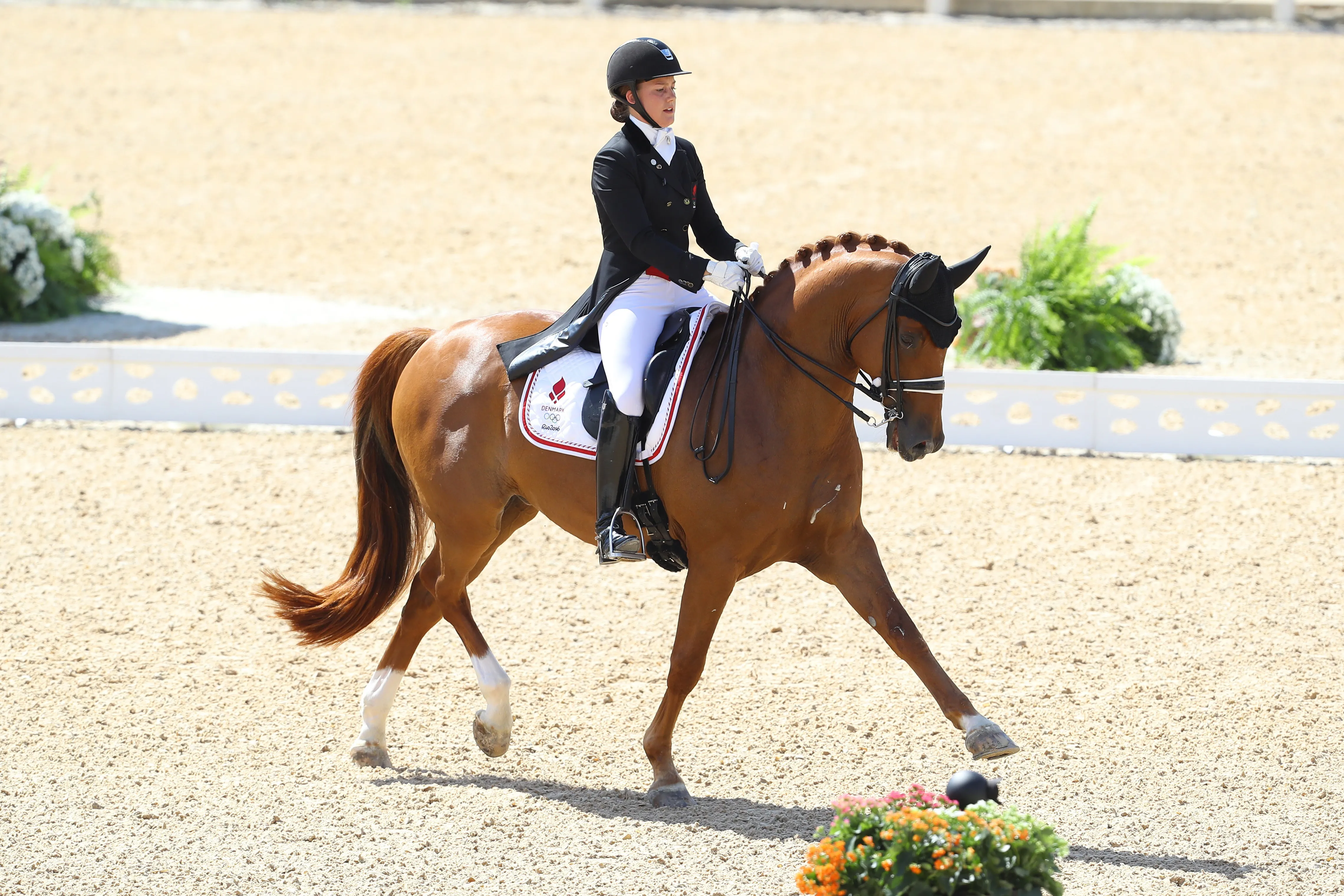 La Danoise a été sélectionnée pour les Jeux olympiques de Rio de Janeiro avec son fidèle alezan.