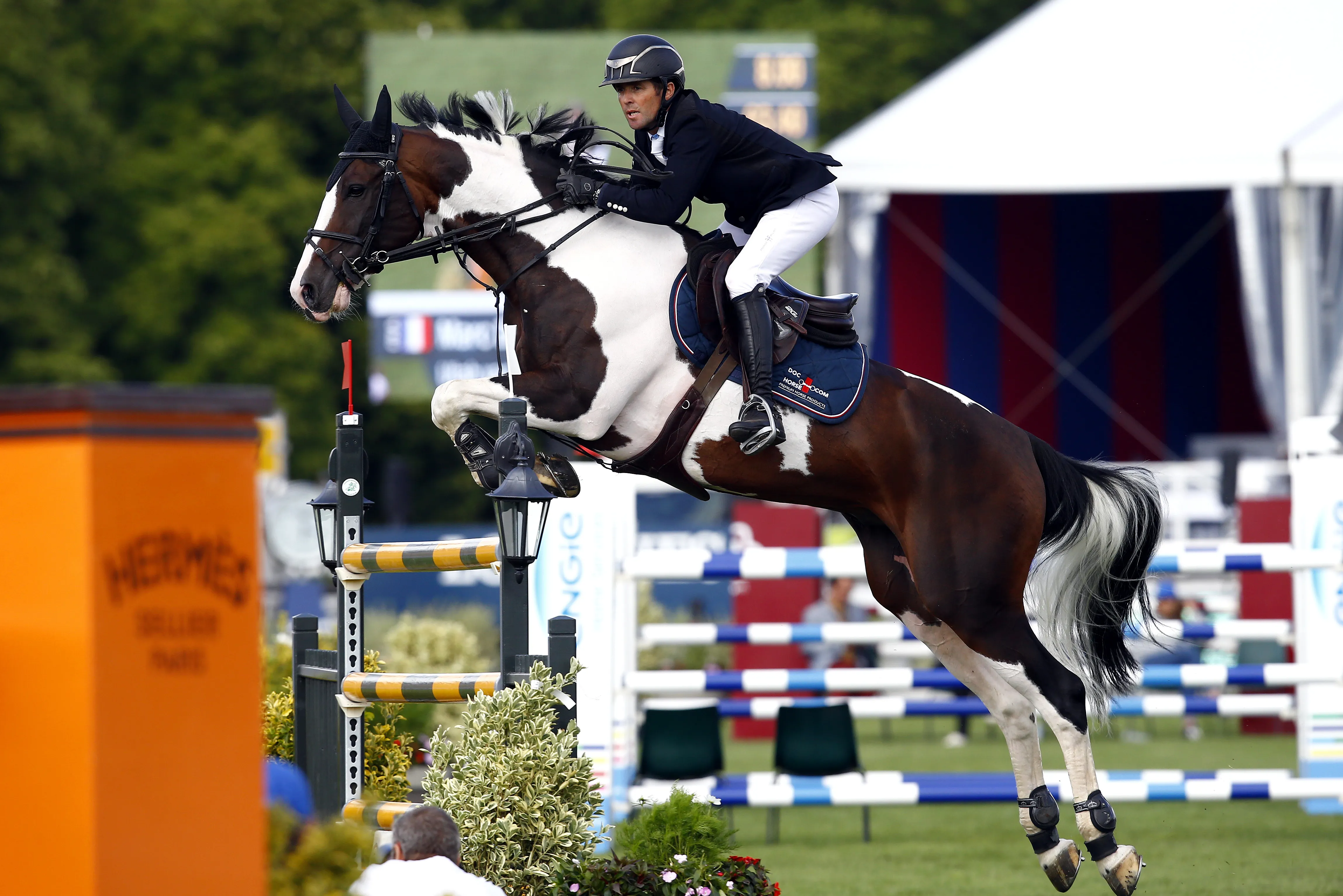 Reconnaissable parmi tous grâce à sa robe pie, Utah van de Rock devrait concourir sur de belles épreuves cette année.