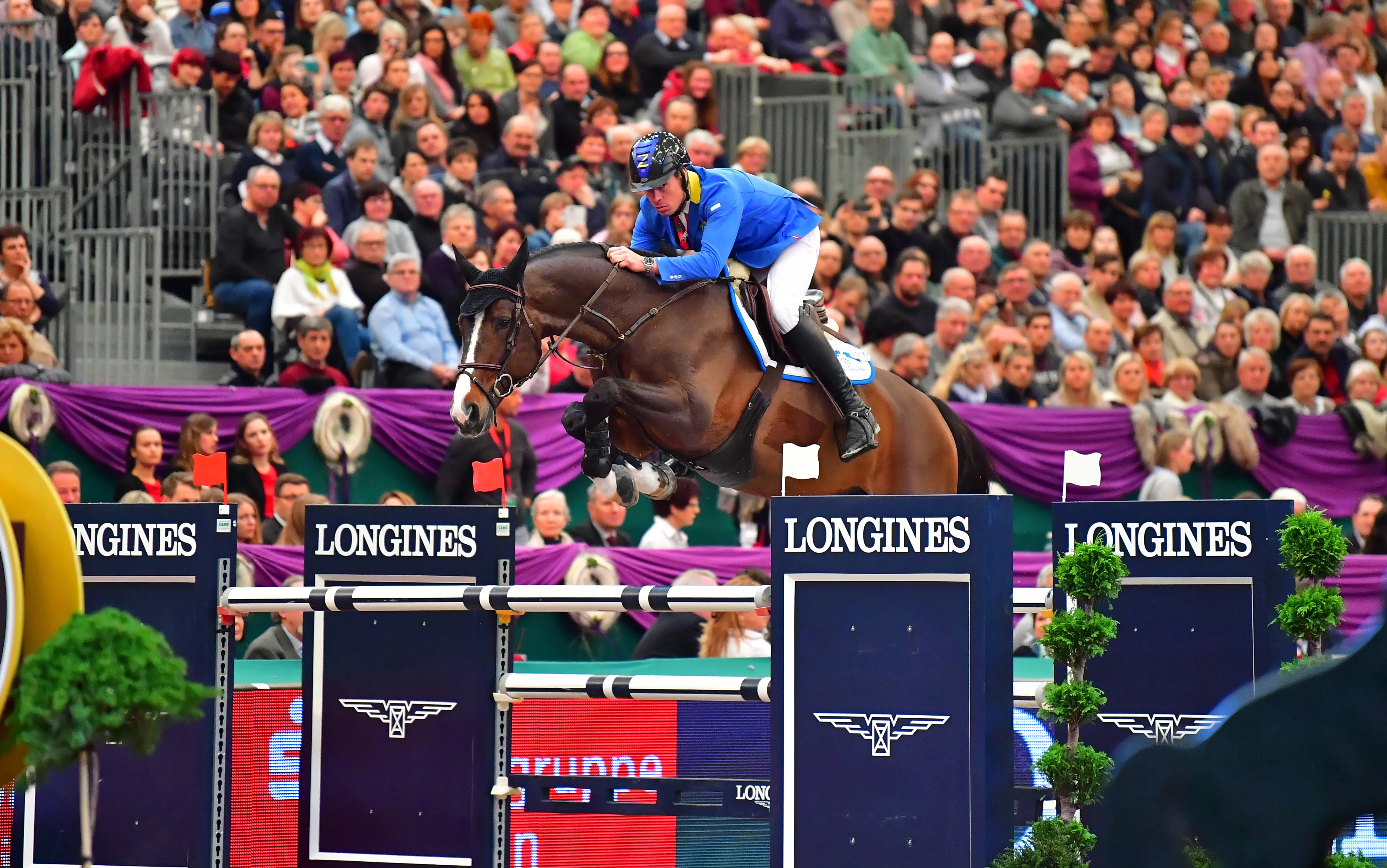 Toujours sublime à dix-huit ans, Taloubet Z se consacrera désormais à l'élevage.