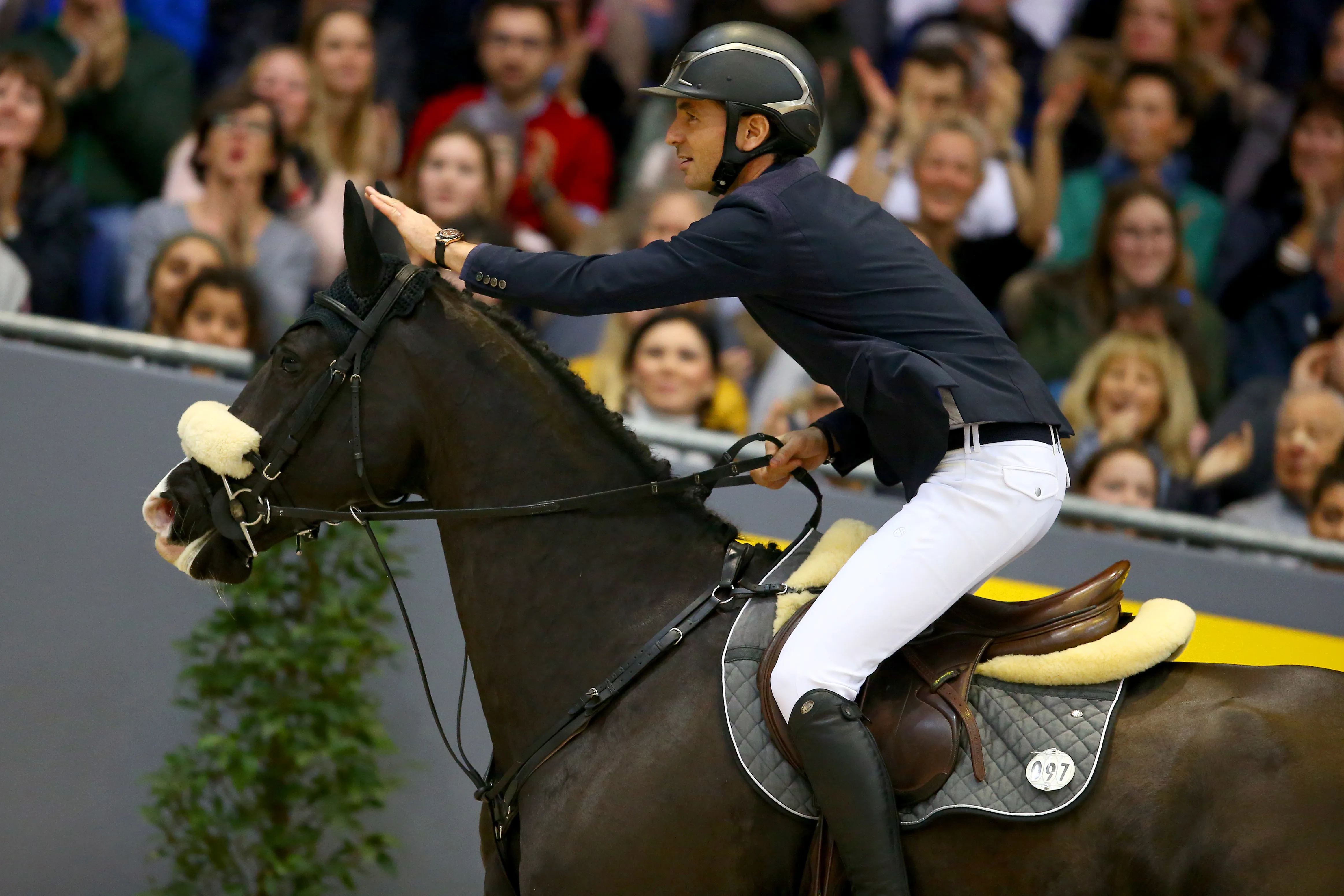 Alamo avait créé la surprise en 2018 dans la finale du Top Ten IJRC, à Genève.