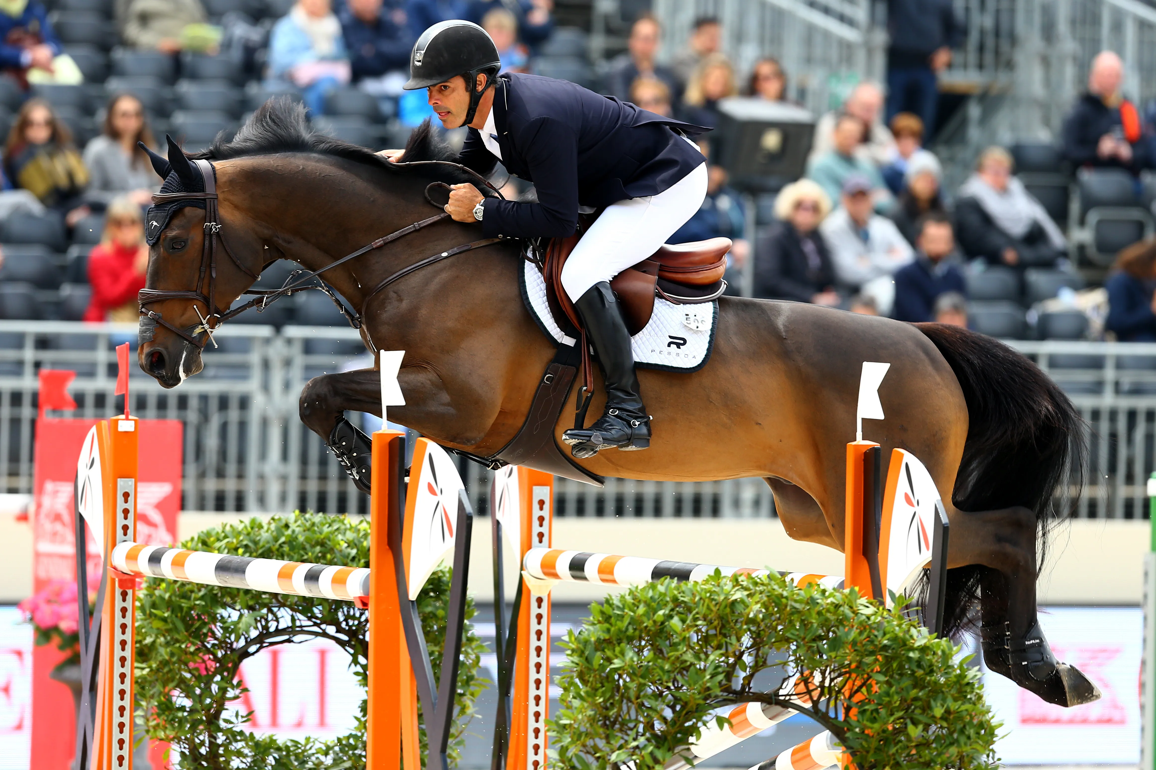 Rodrigo Pessoa et STATUS pendant le Jumping du Château de Versailles en 2017